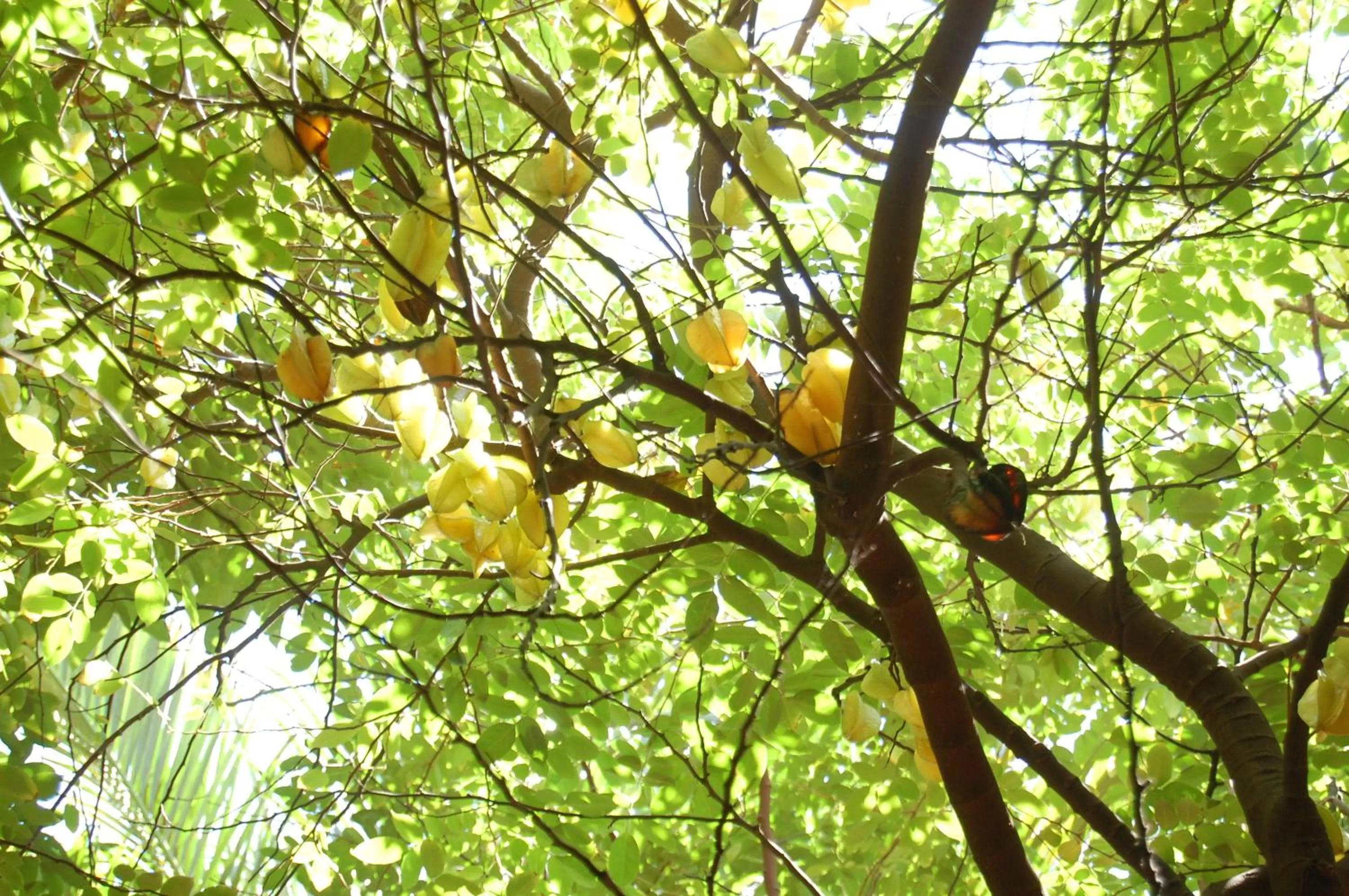 Natural landscape in Hotel Charme Fonte do Boi