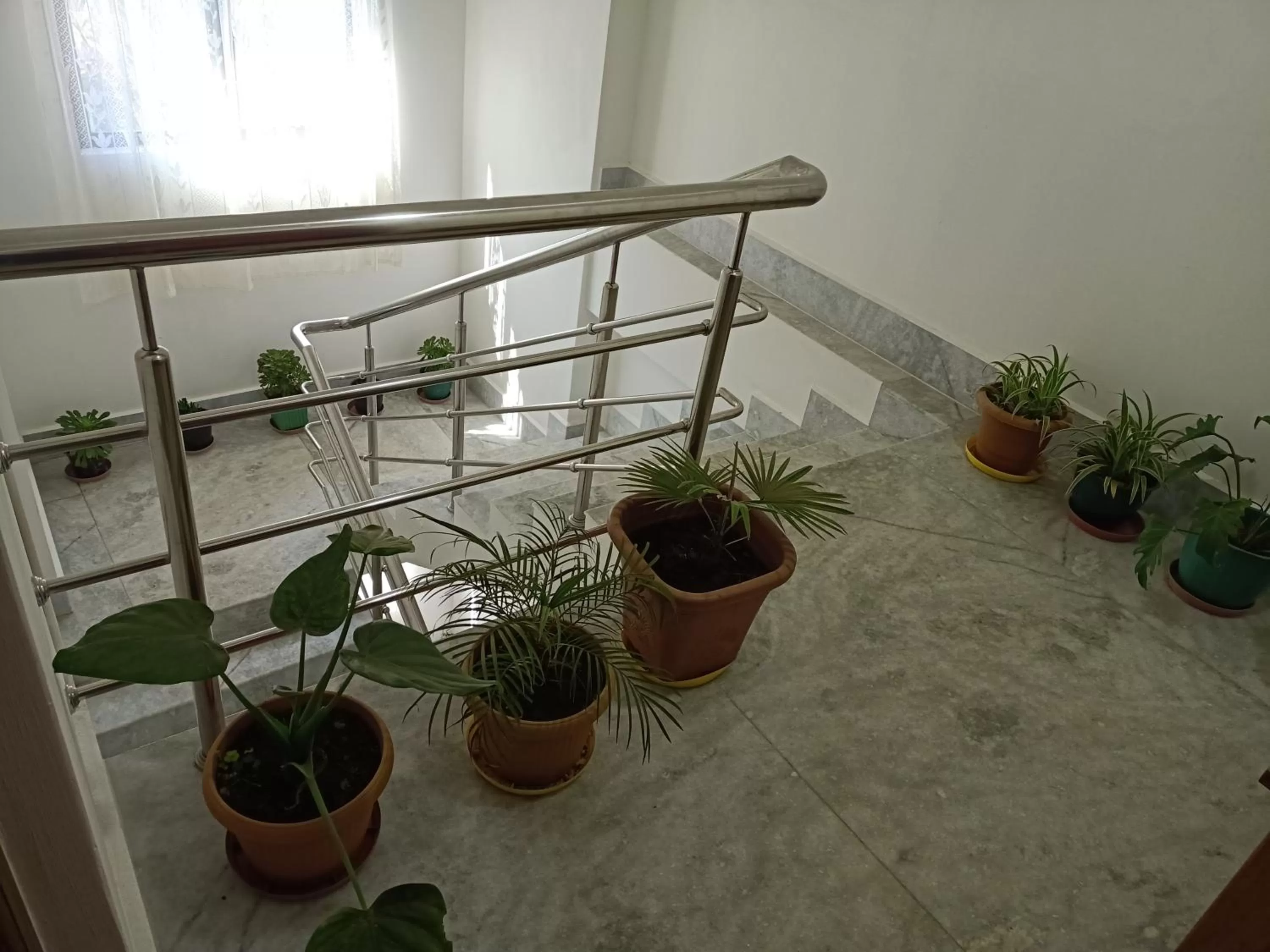 Patio in MANNA INSPIRA