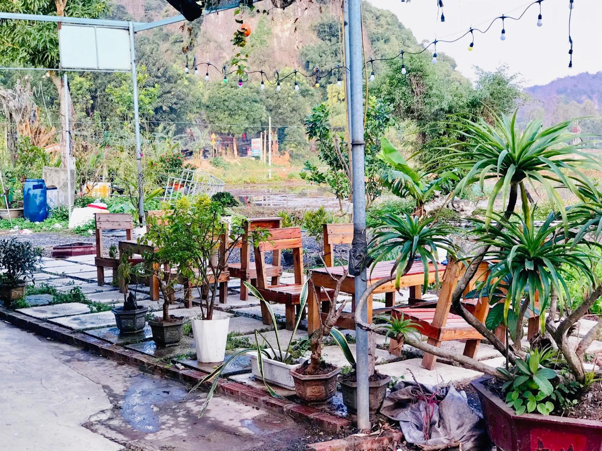 Tam Coc Mountain View Homestay