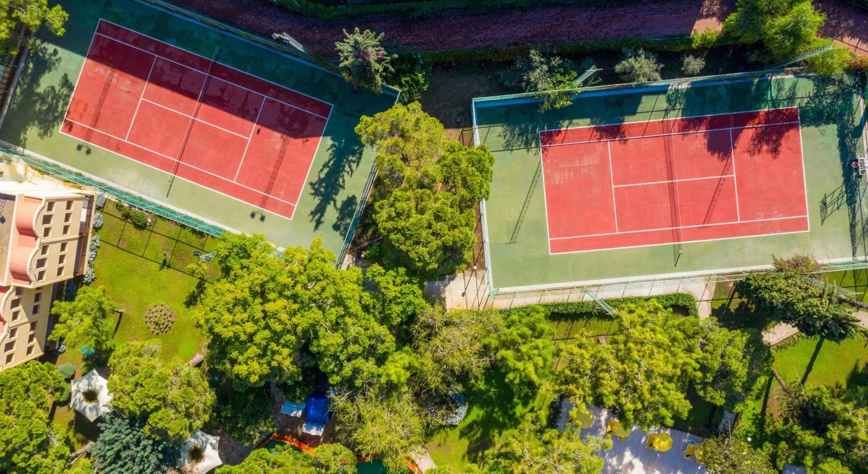 Activities in Asteria Collection Side