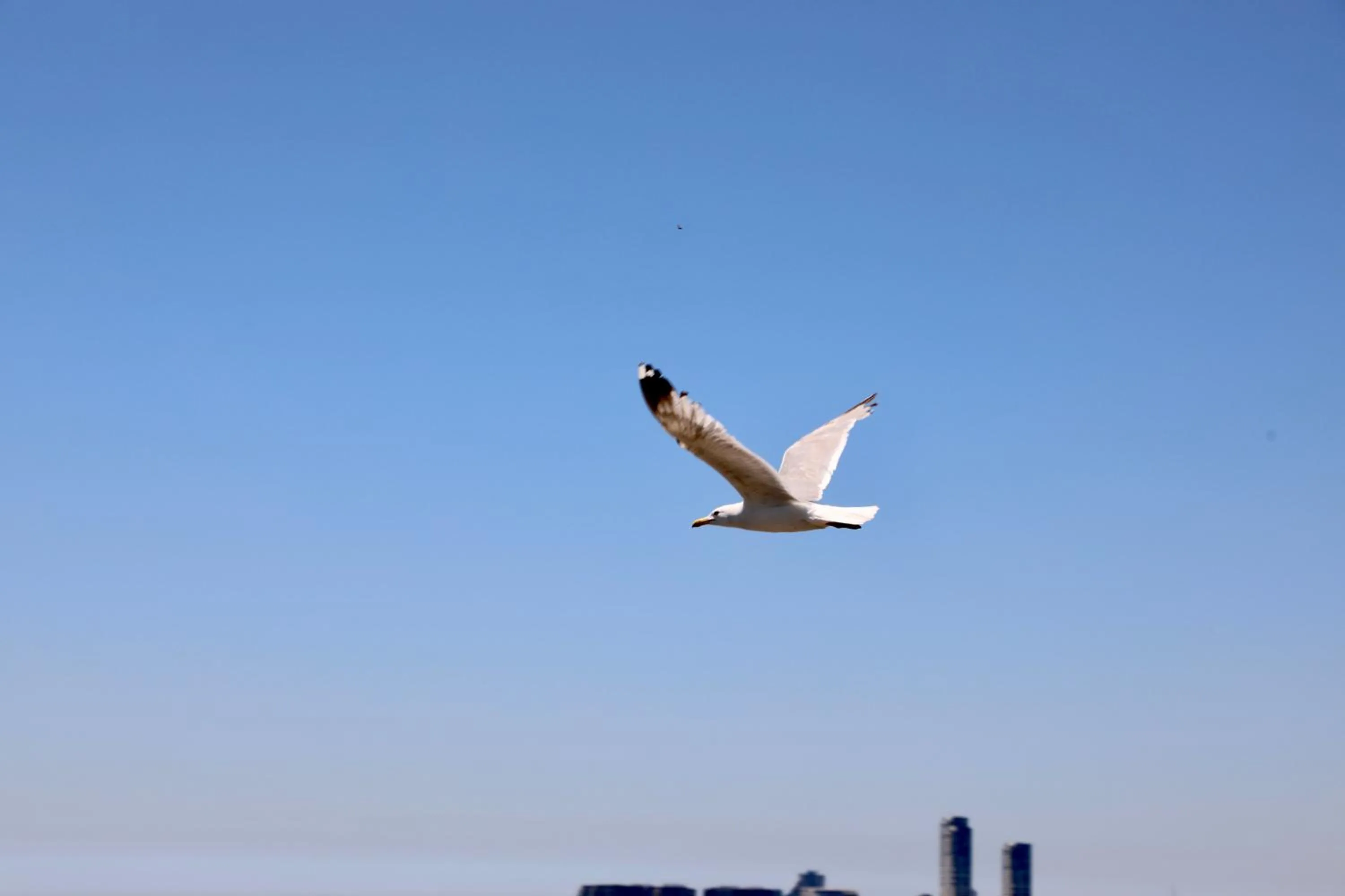 Day in Istanbul Royal Hotel