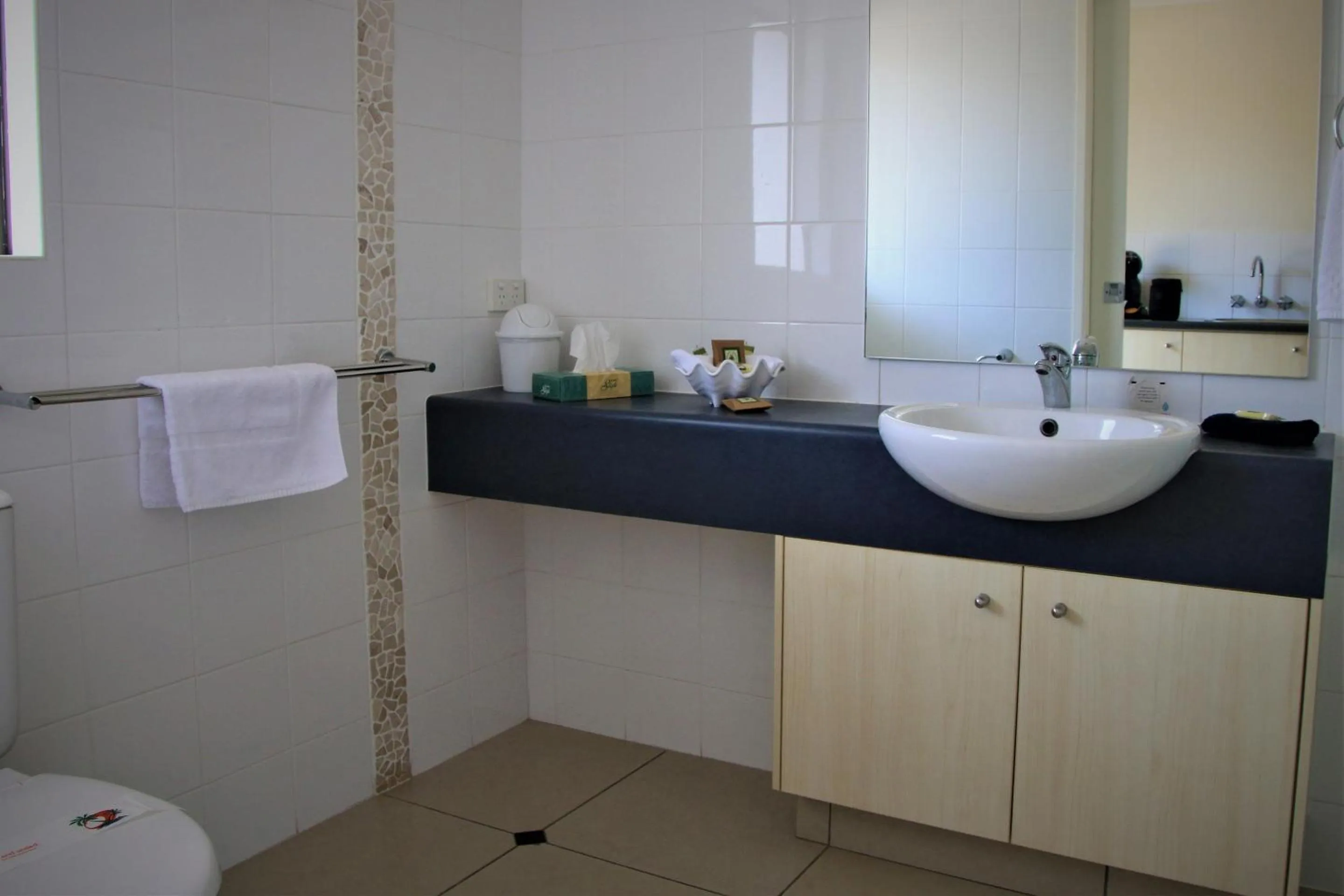 Bathroom in Pacific Palms Motor Inn