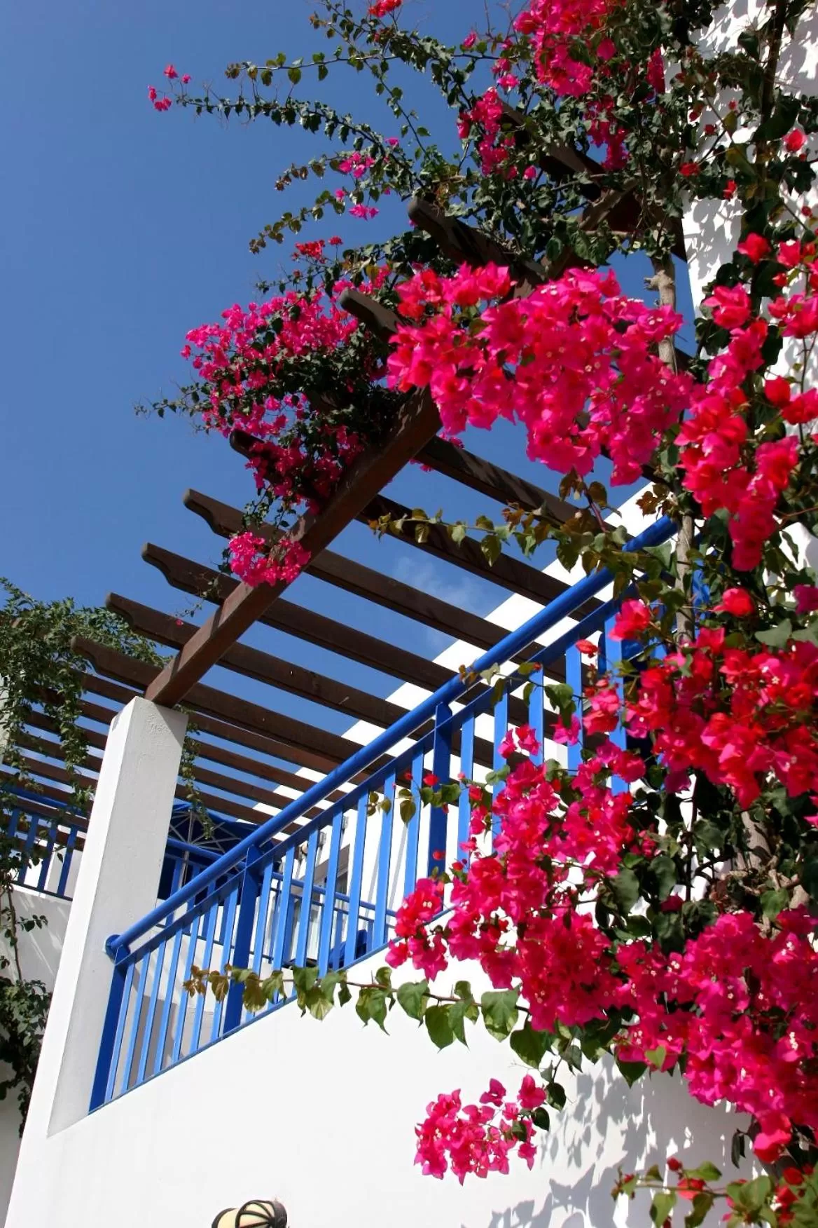 Garden in Aliathon Aegean