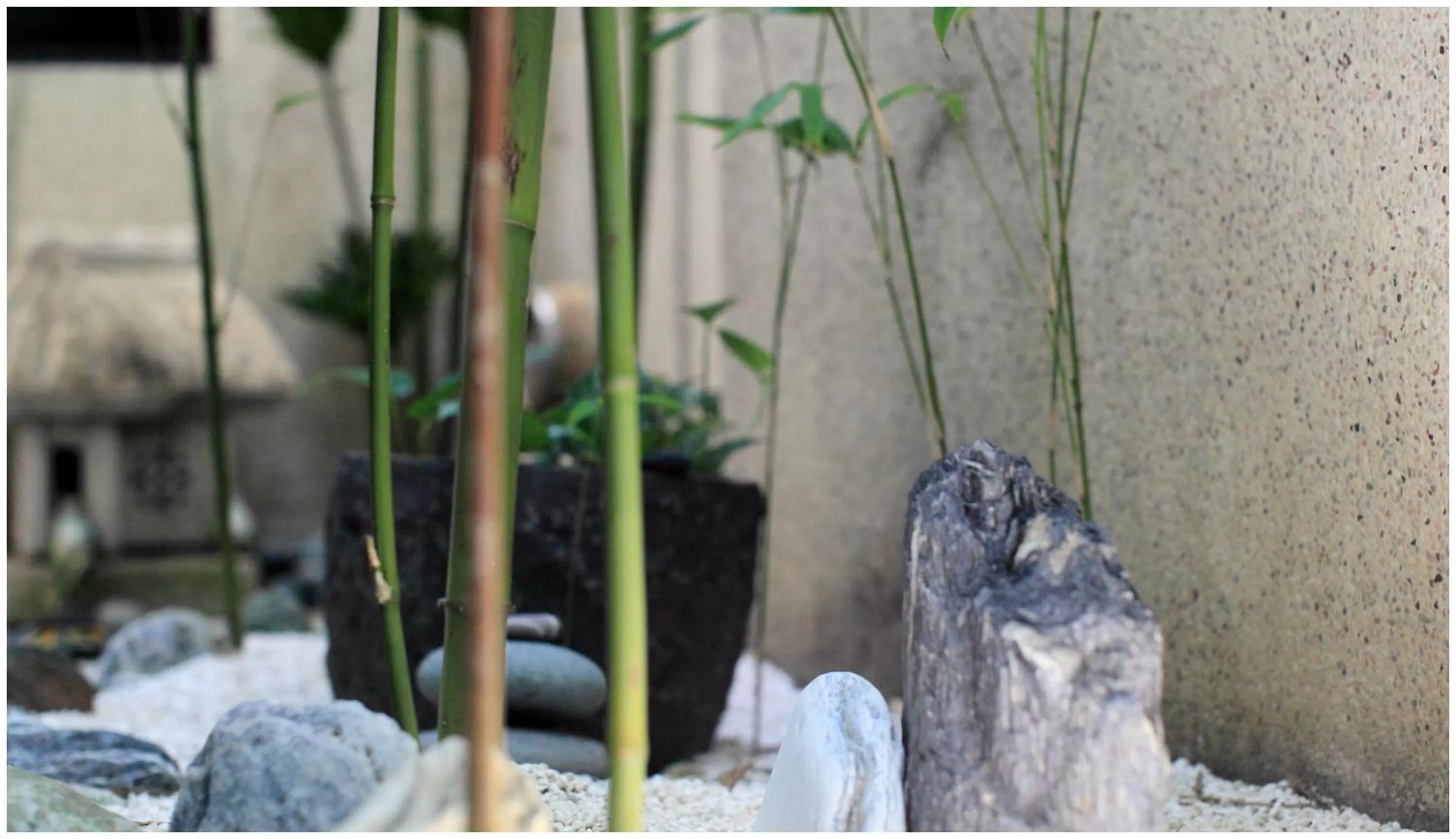 Decorative detail in Errantry Lodge & Studio