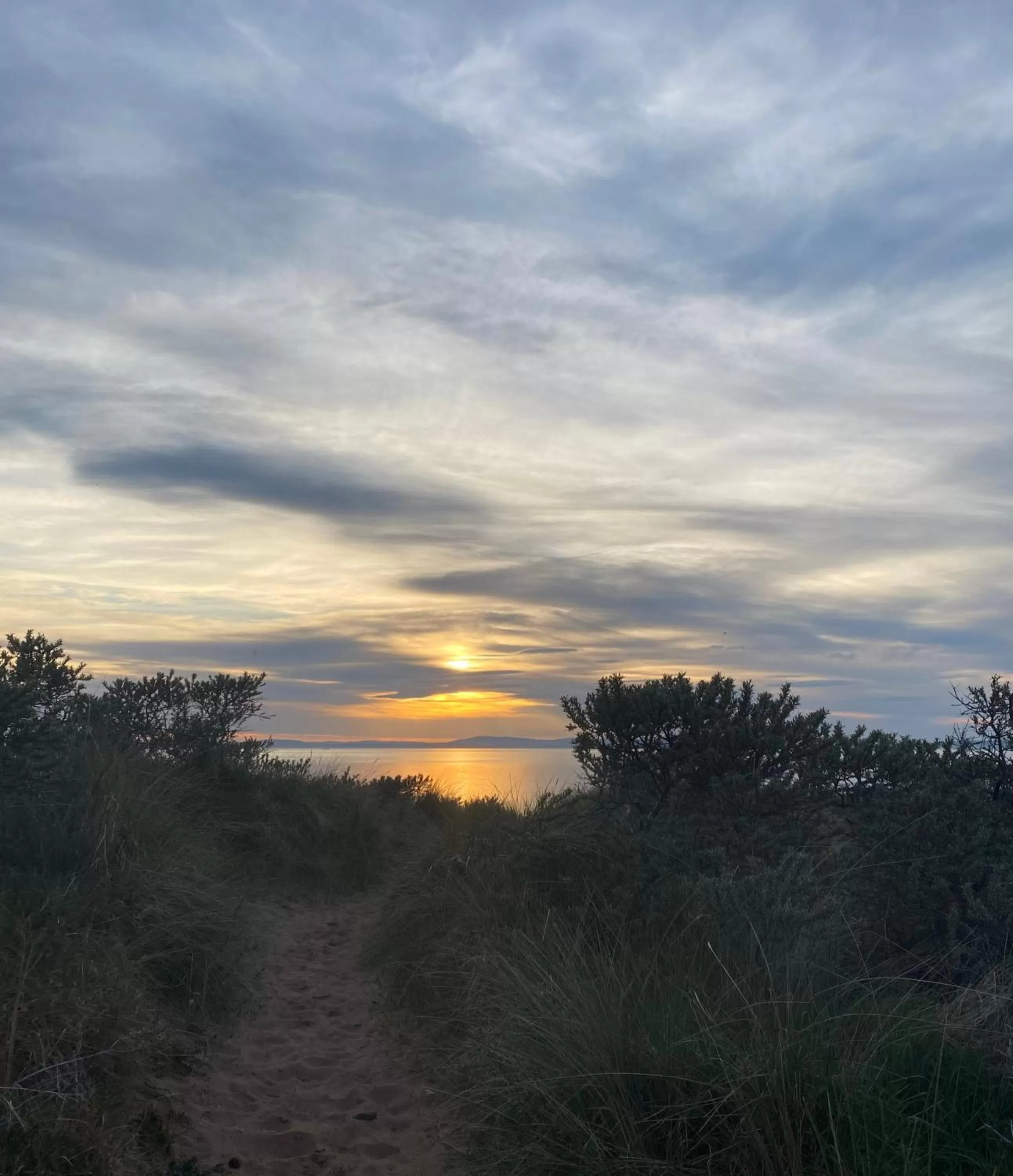 Beach in The Bonnie Badger