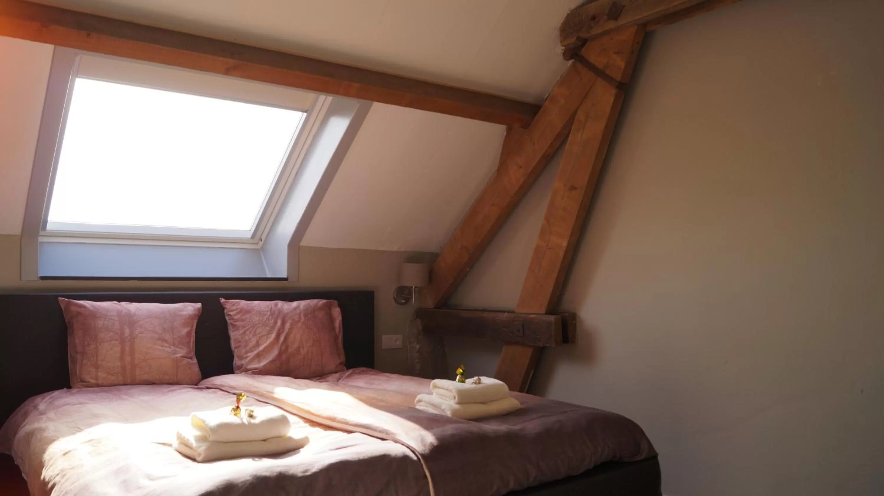 Bed in B&B Johannes-Hoeve