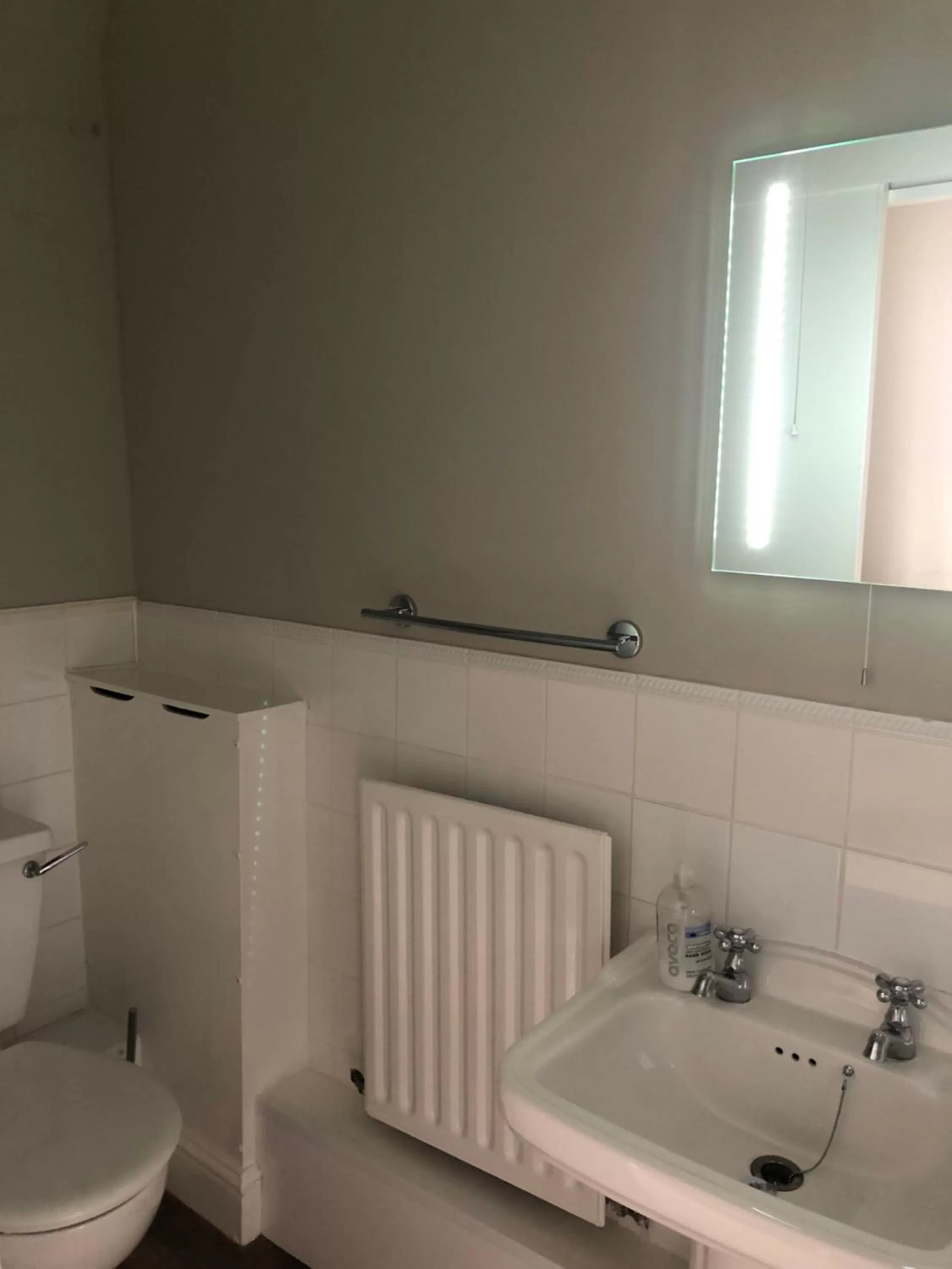 Bathroom in The Lethbridge Arms