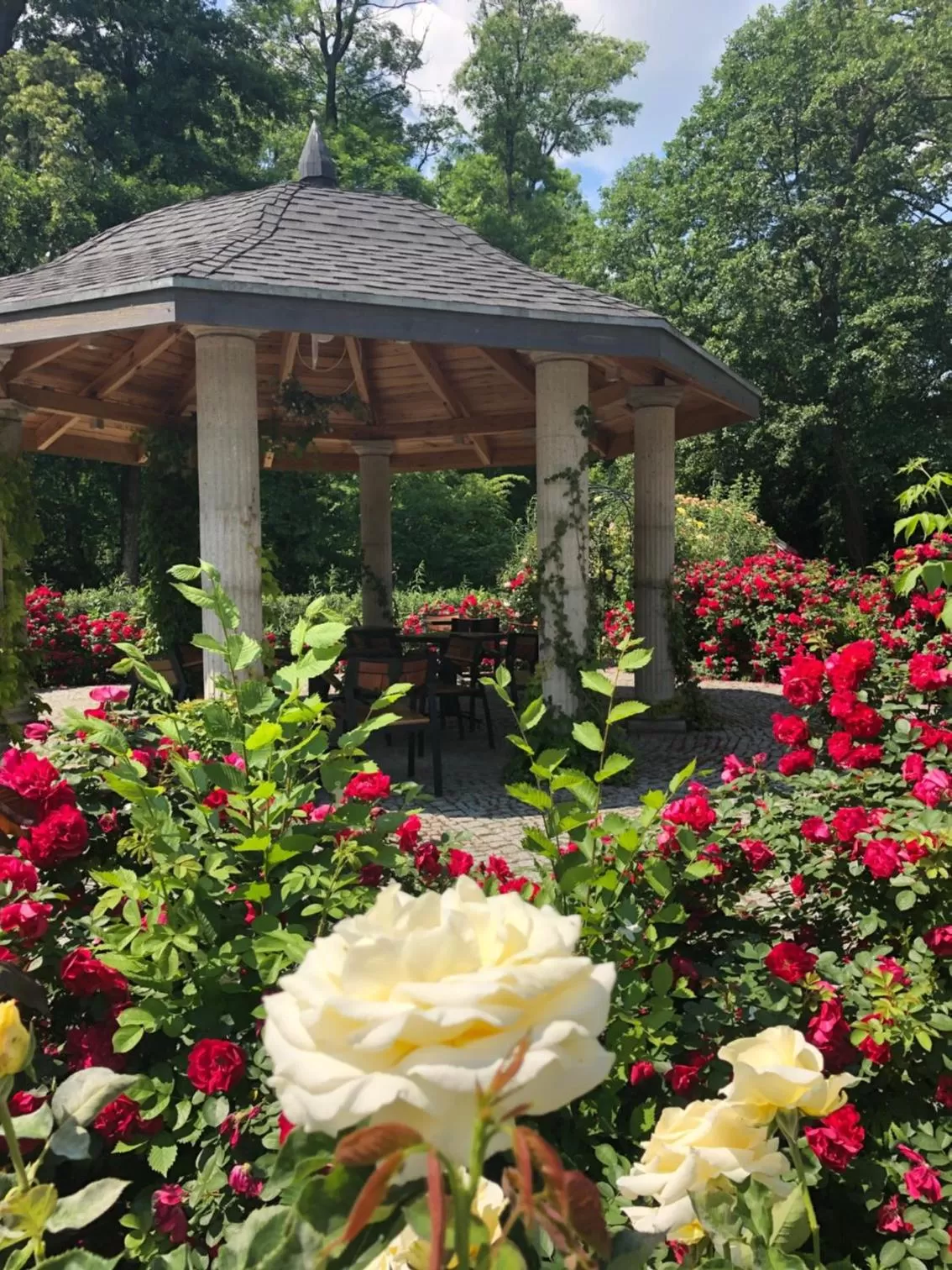 Garden in Hotel Willa Starosty