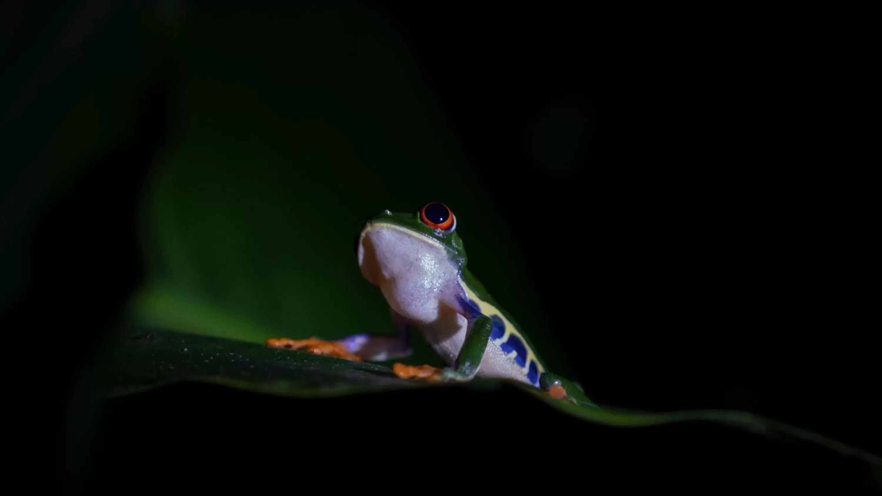 Hotel Rancho Cerro Azul