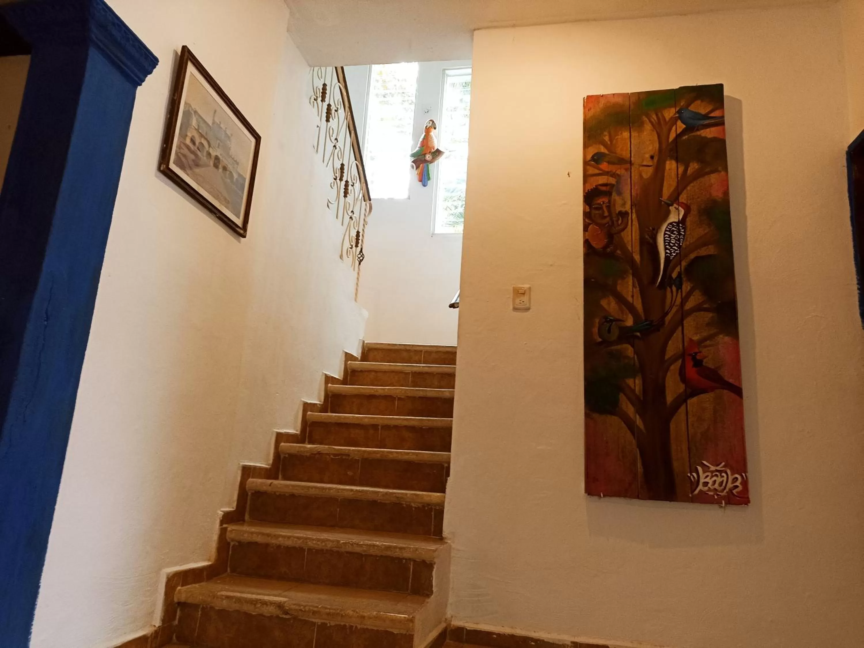 Casa De Los Pájaros - B&B