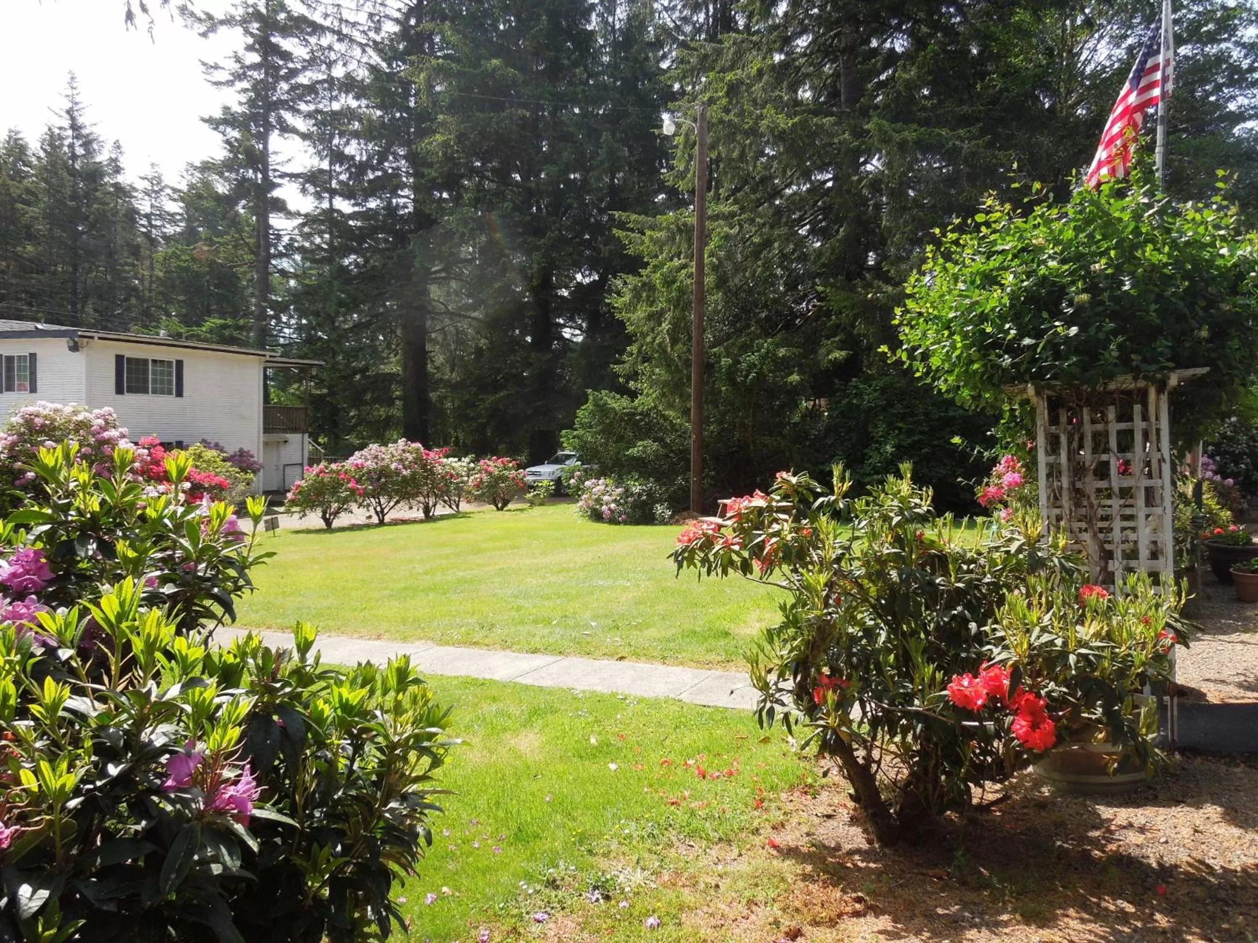 Garden in Park Motel and Cabins