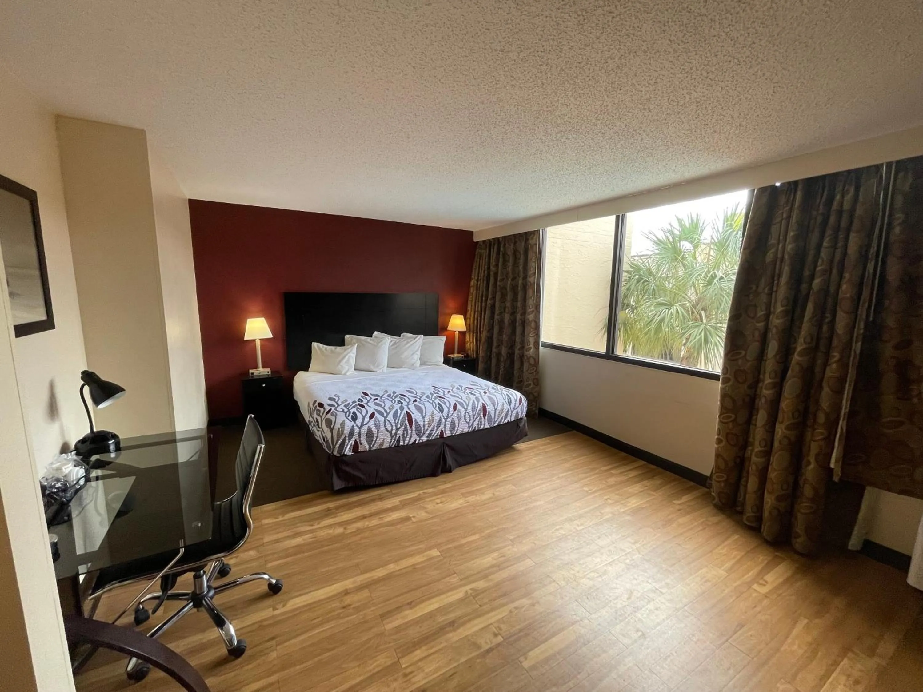 Photo of the whole room in Tropical Palms Hotel