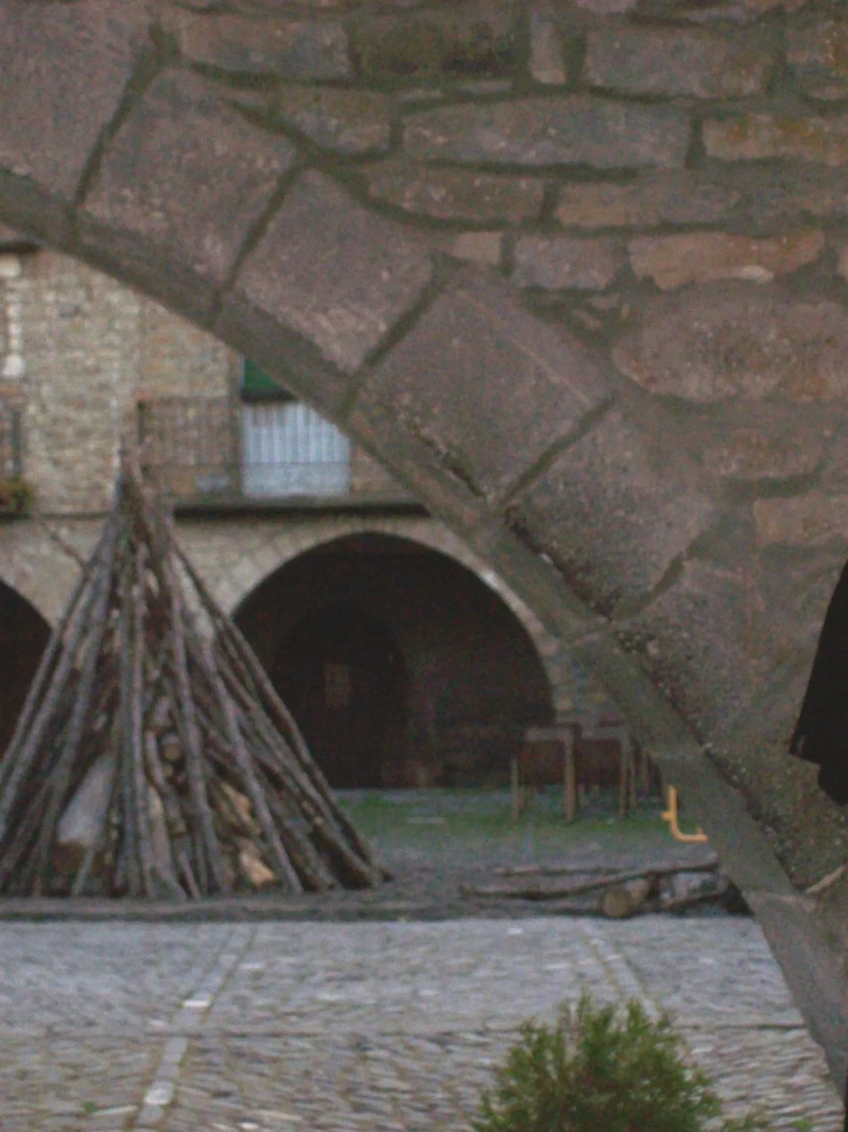 Garden in Los Siete Reyes