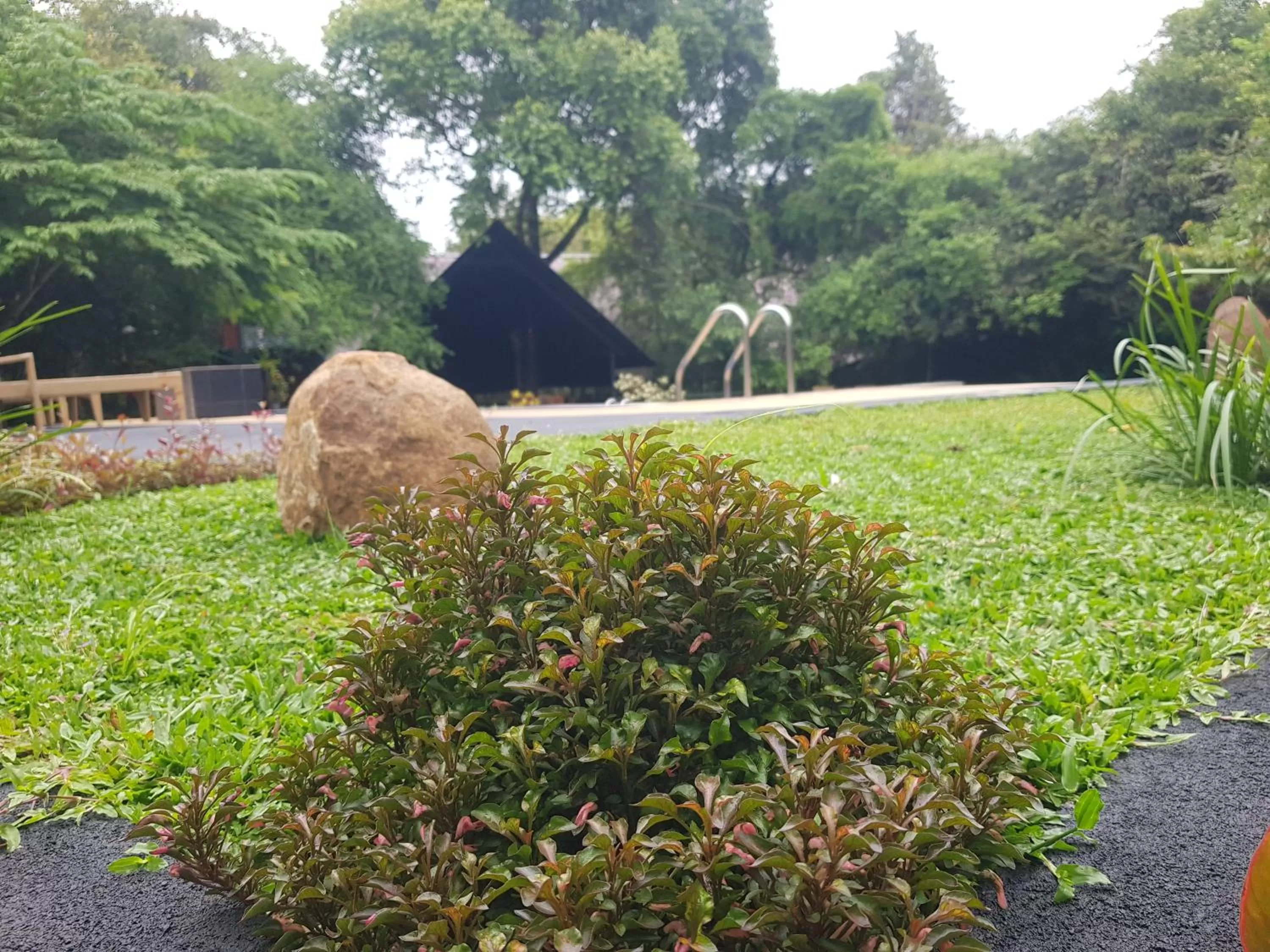 Swimming pool in Nice Place Resort