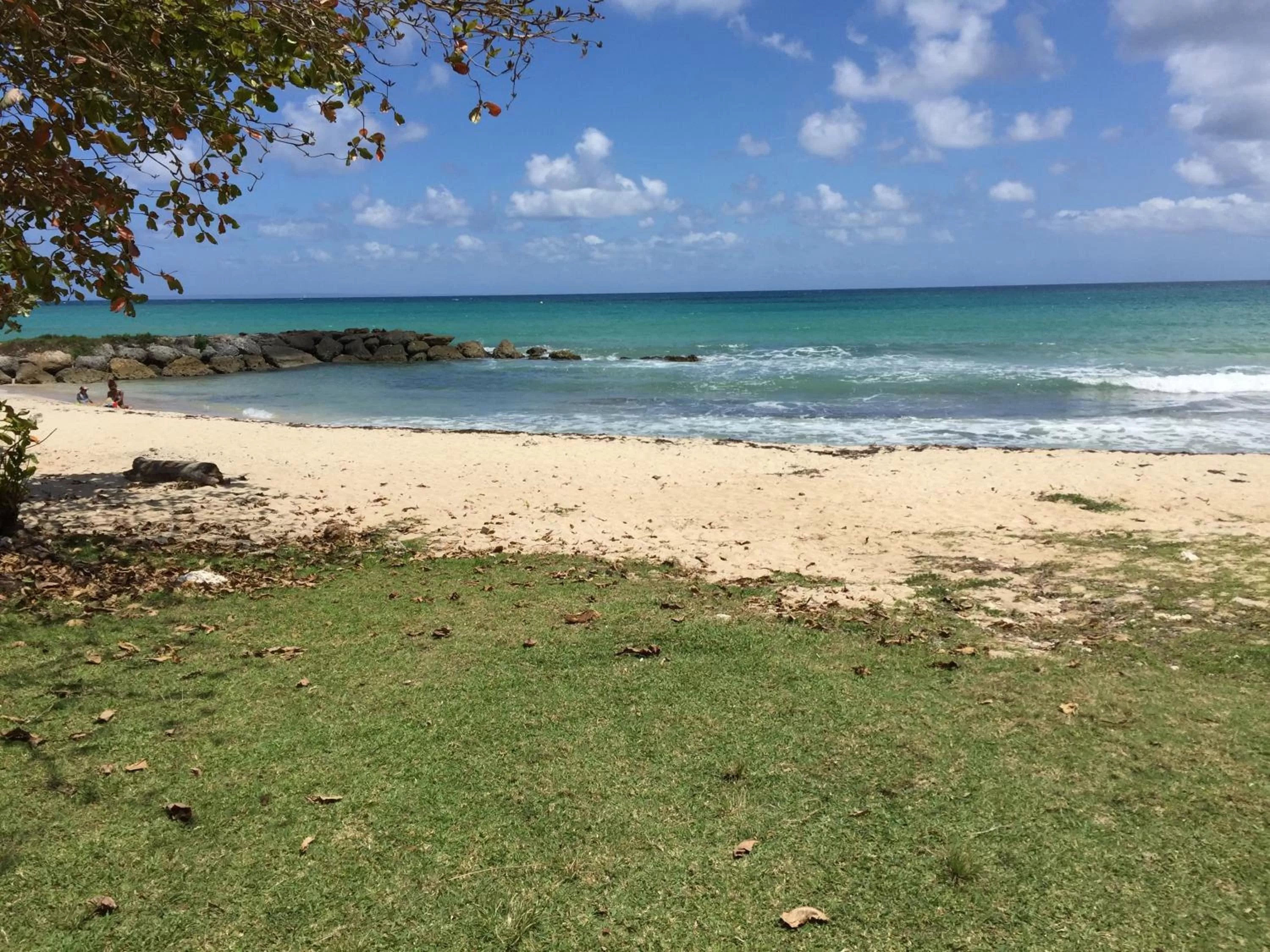 Beach in Le Saint Georges