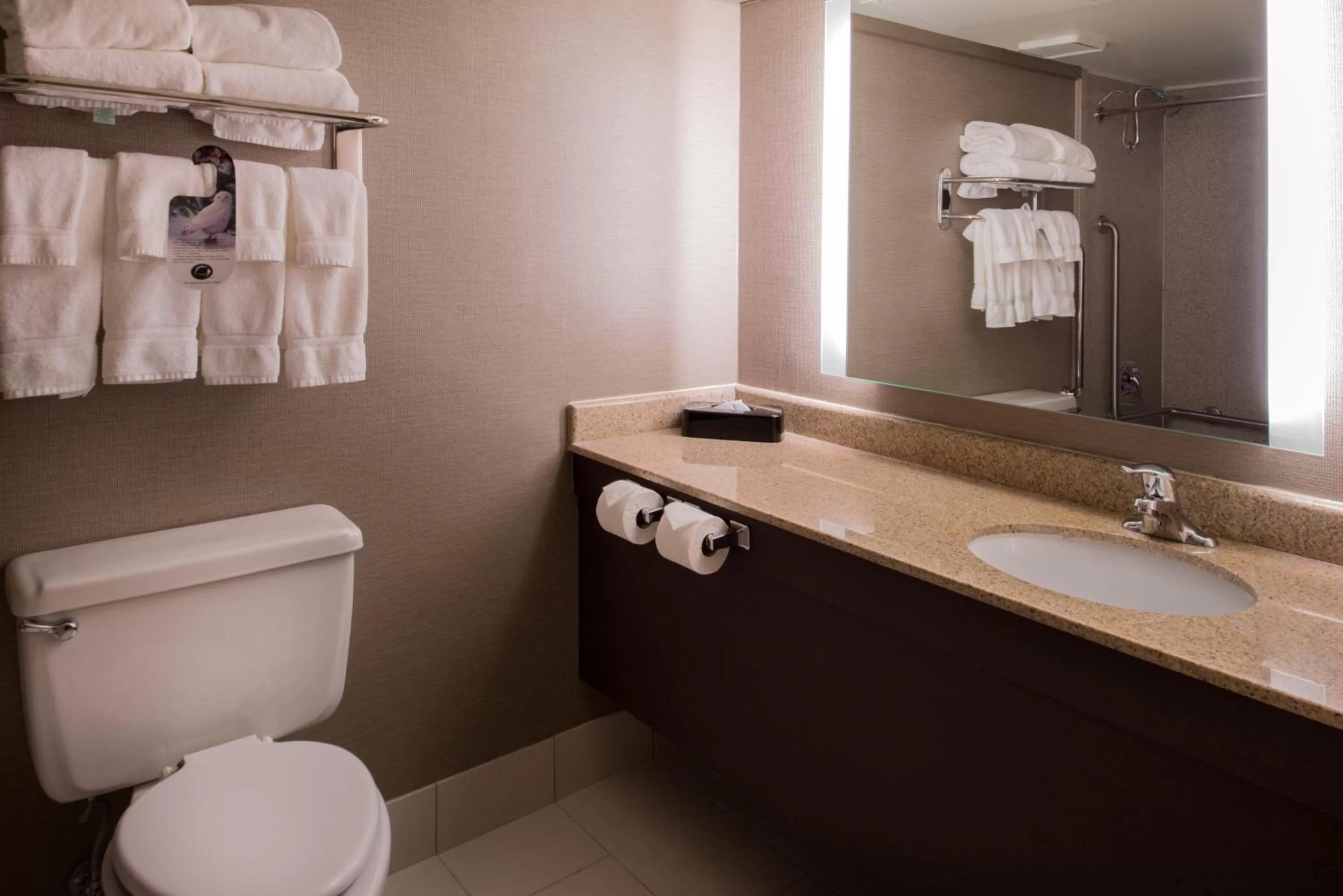 King Room - Disability Access Hearing Accessible - Accessible Tub in Holiday Inn St Louis Downtown/Convention Center, an IHG Hotel