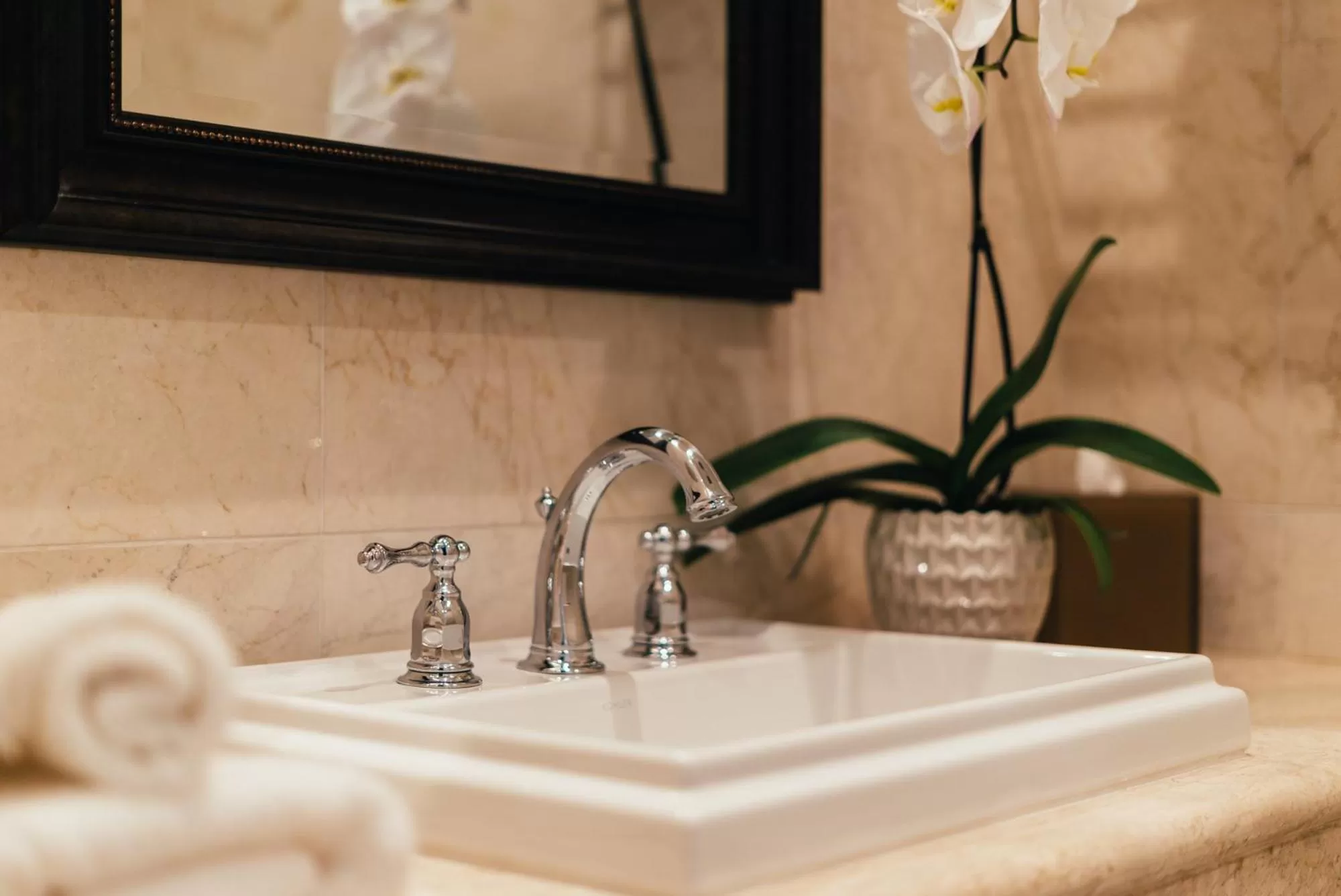 Neighbourgood Sutter Mansion