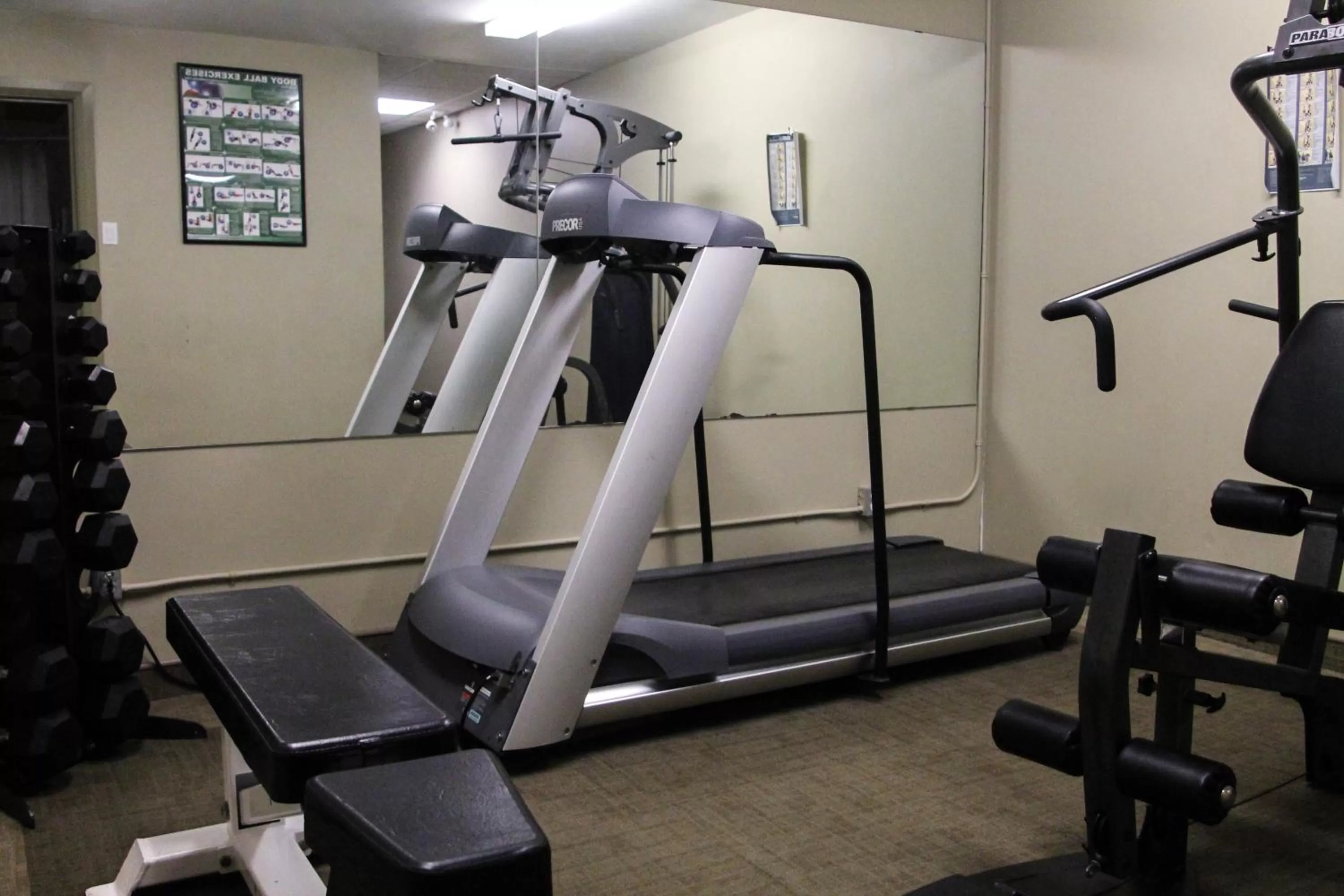 Fitness centre/facilities in WelcomINNS Ottawa