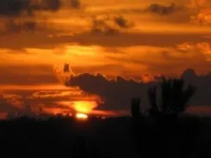 View (from property/room) in Hotel San Miguel