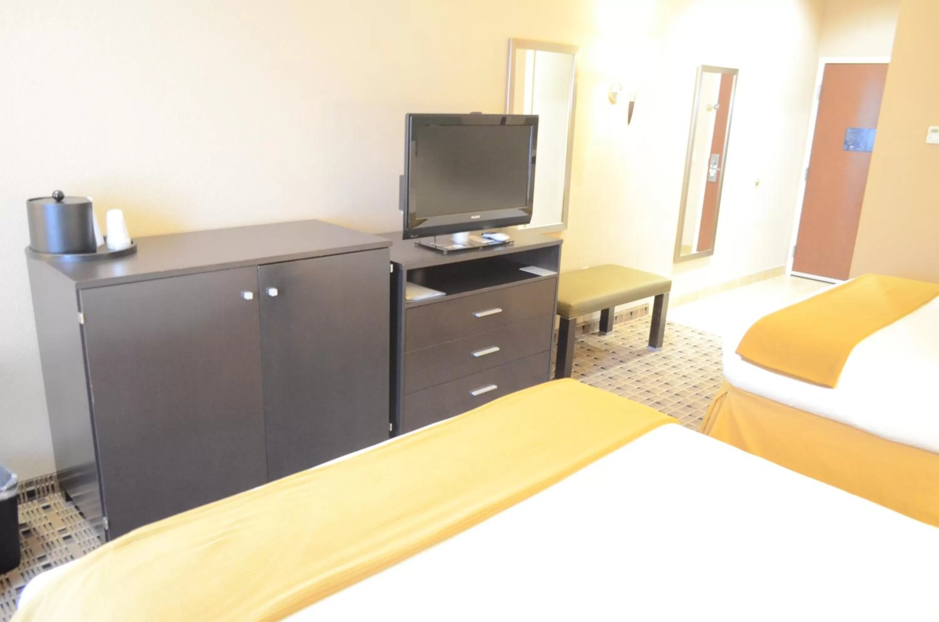 TV and multimedia, Bed in Holiday Inn Express Hotel & Suites Houston Energy Corridor - West Oaks, an IHG Hotel
