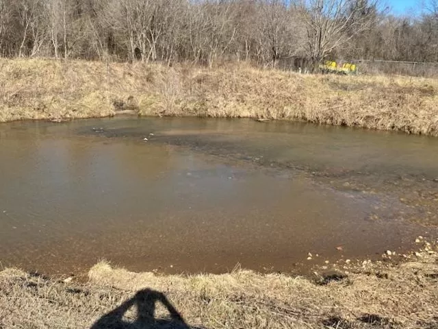 Natural landscape, Other Animals in Andy Griffith Parkway Inn