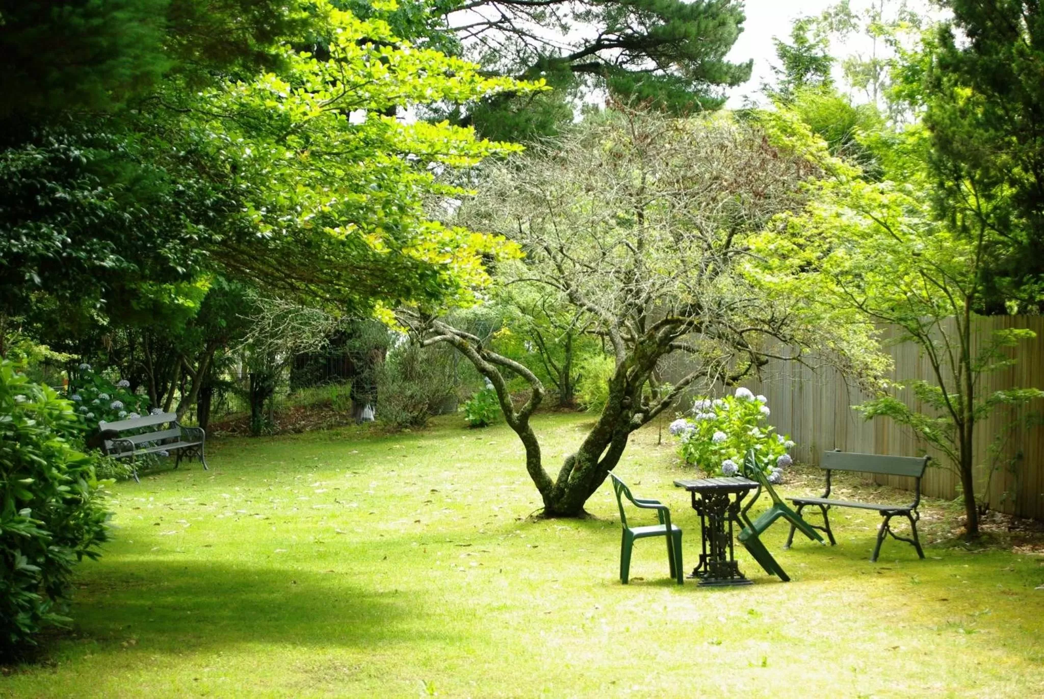 Day in Blackheath Motor Inn