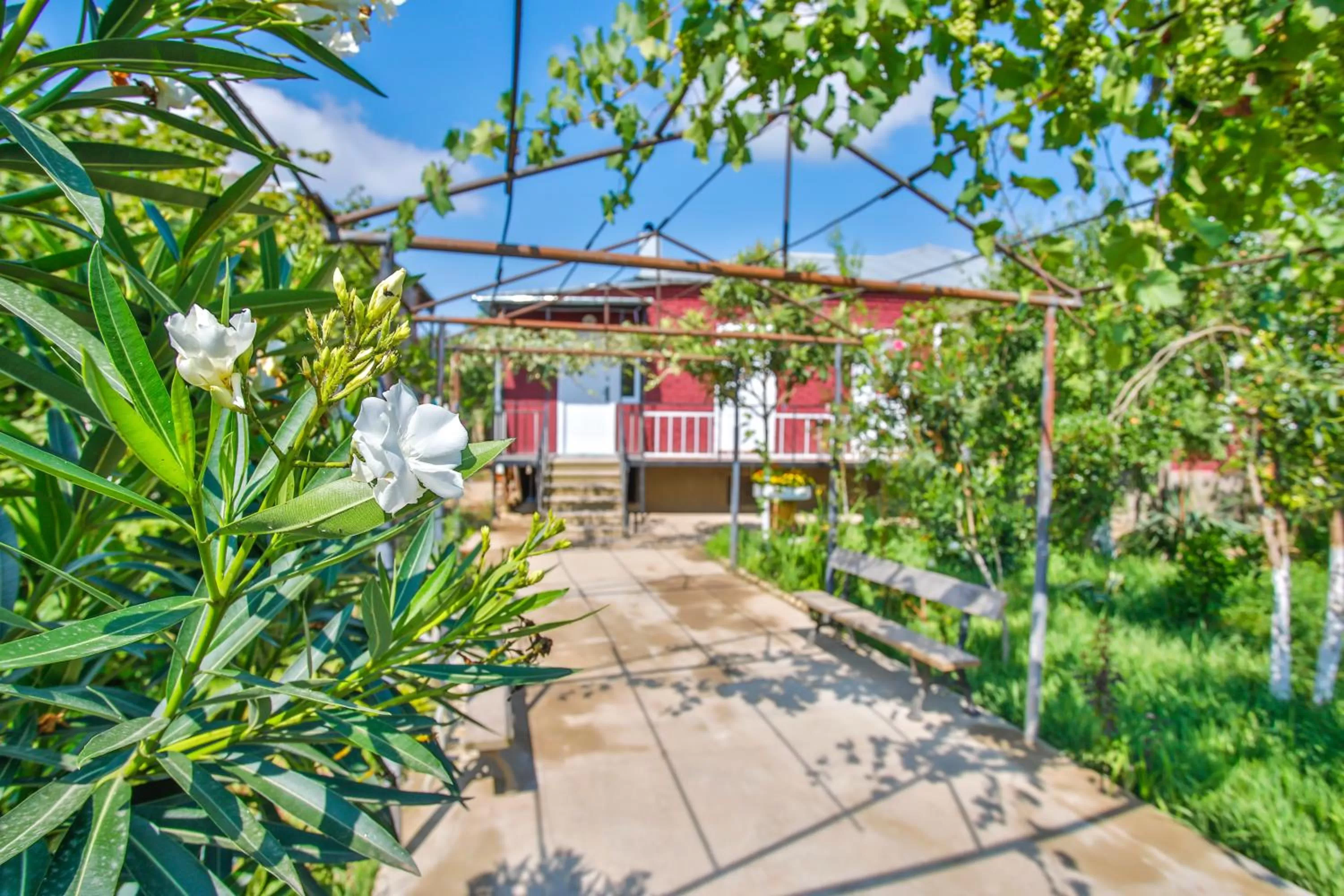 Property Building in Book Hotel
