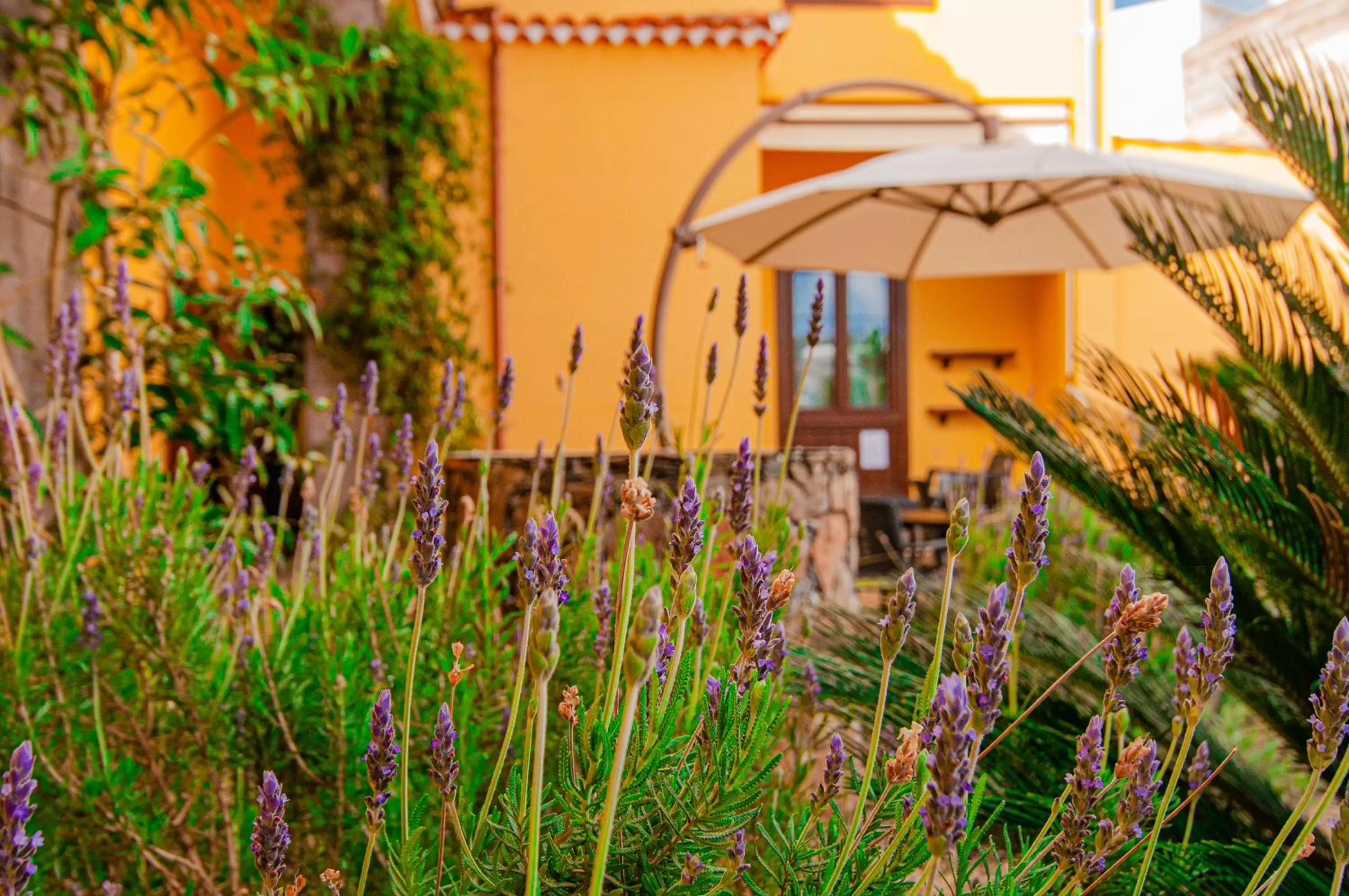 Patio in Hotel El Tejar & Spa