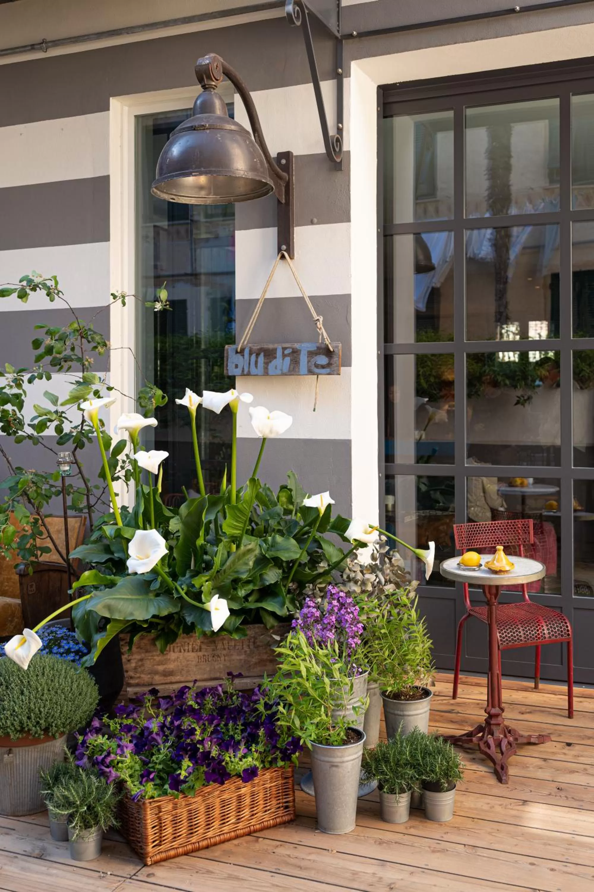 Garden in Hotel Blu di Te