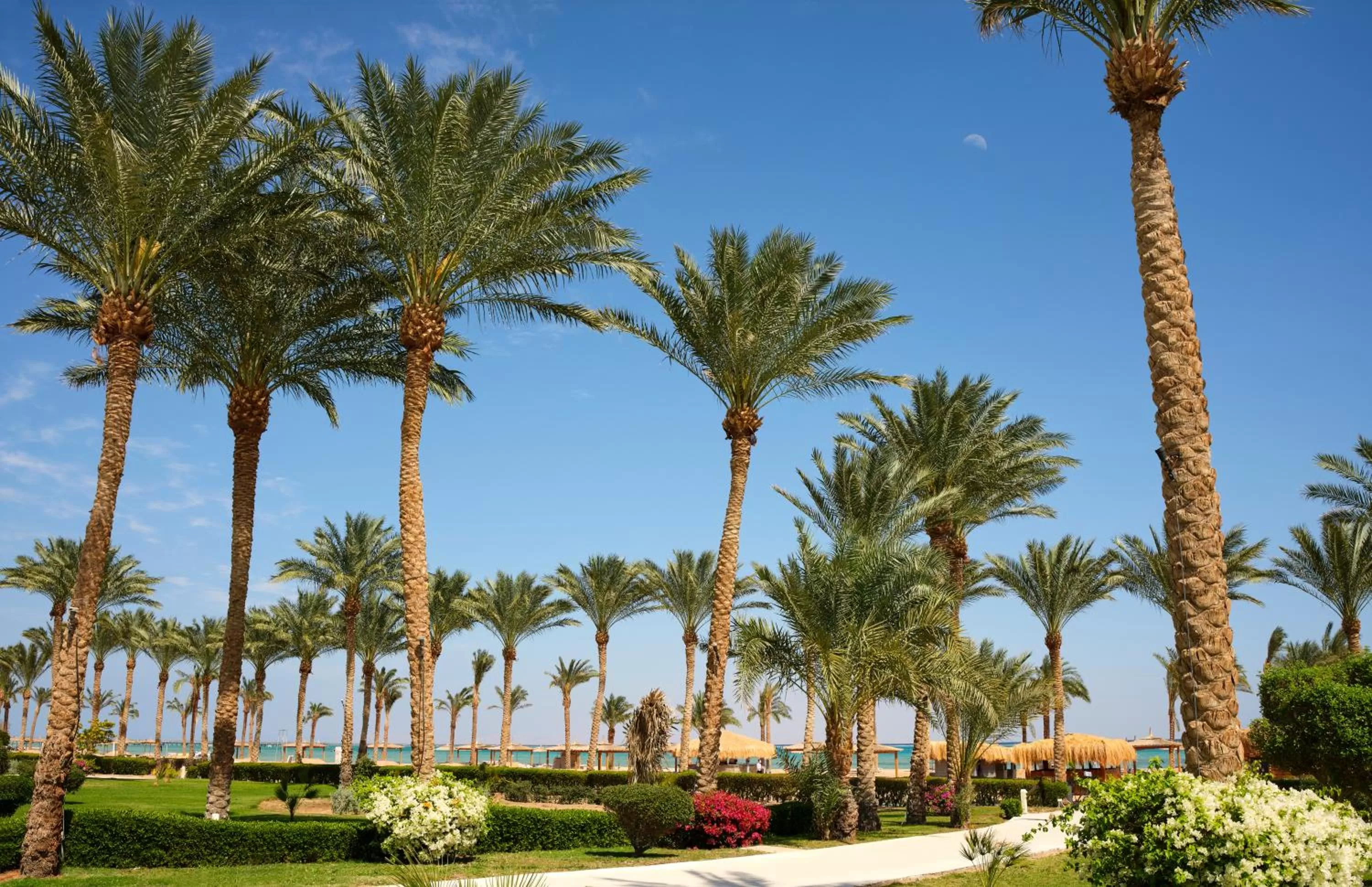 Garden in Coral Sea Waterworld Sharm El Sheikh
