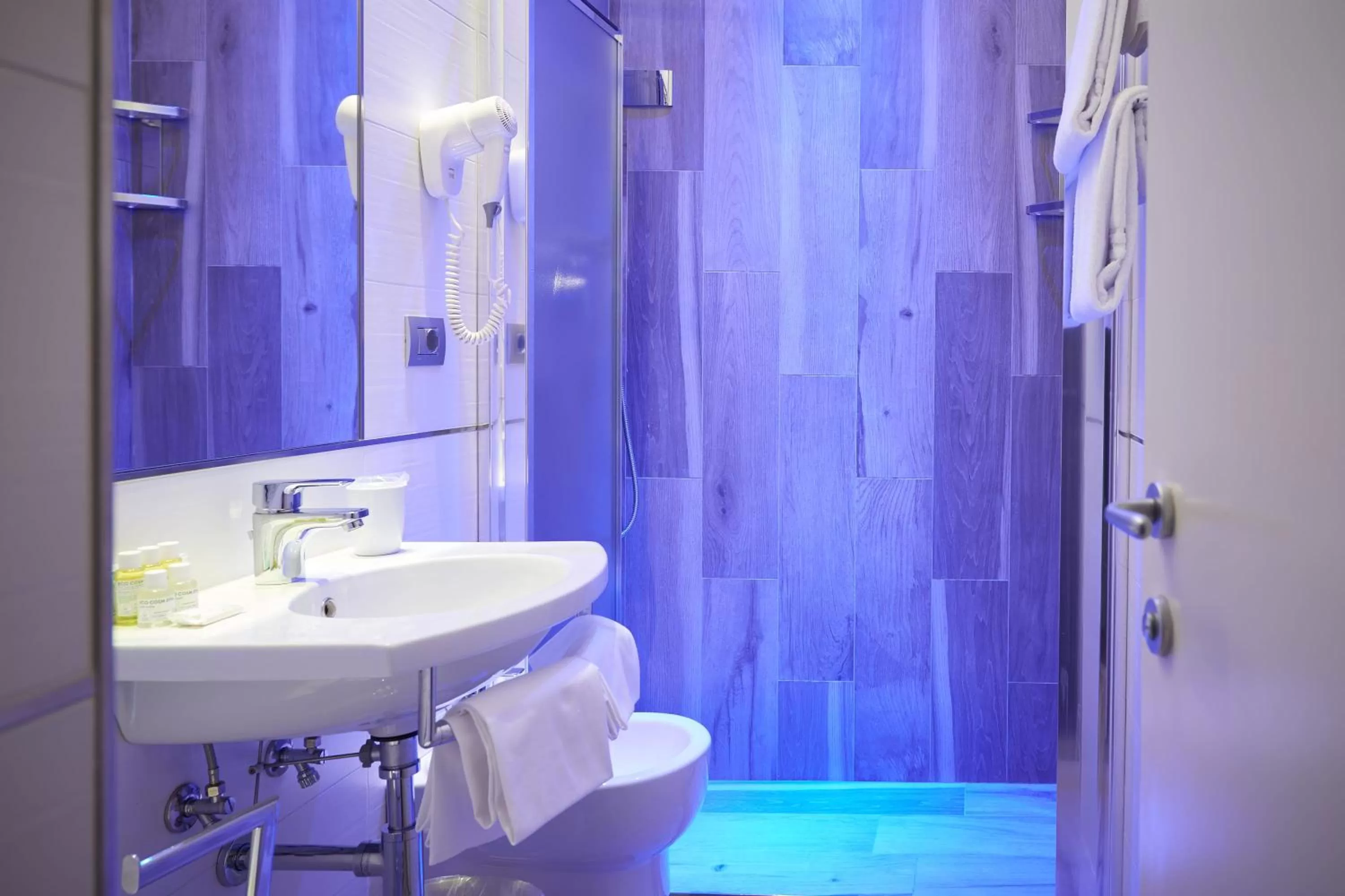 Toilet in Hotel Cosimo de' Medici