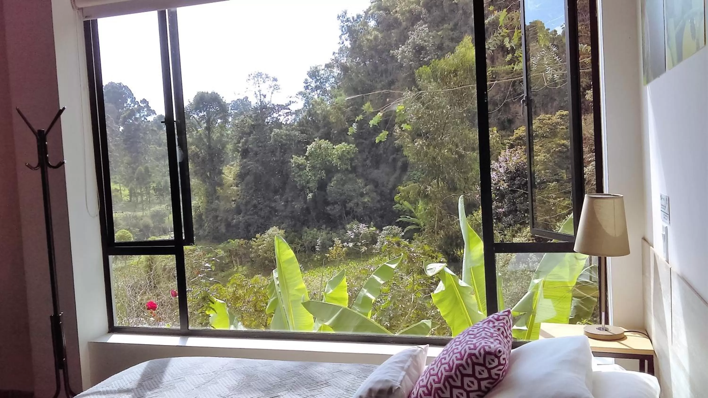 Hotel Termales Tierra Viva