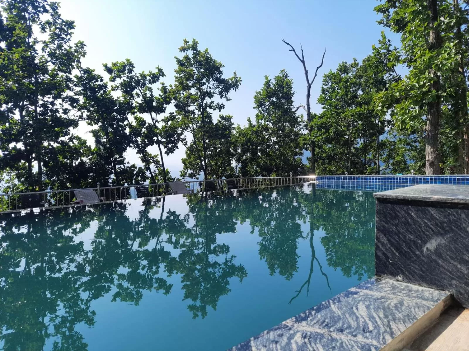 Swimming pool in Blue Pine Orchards