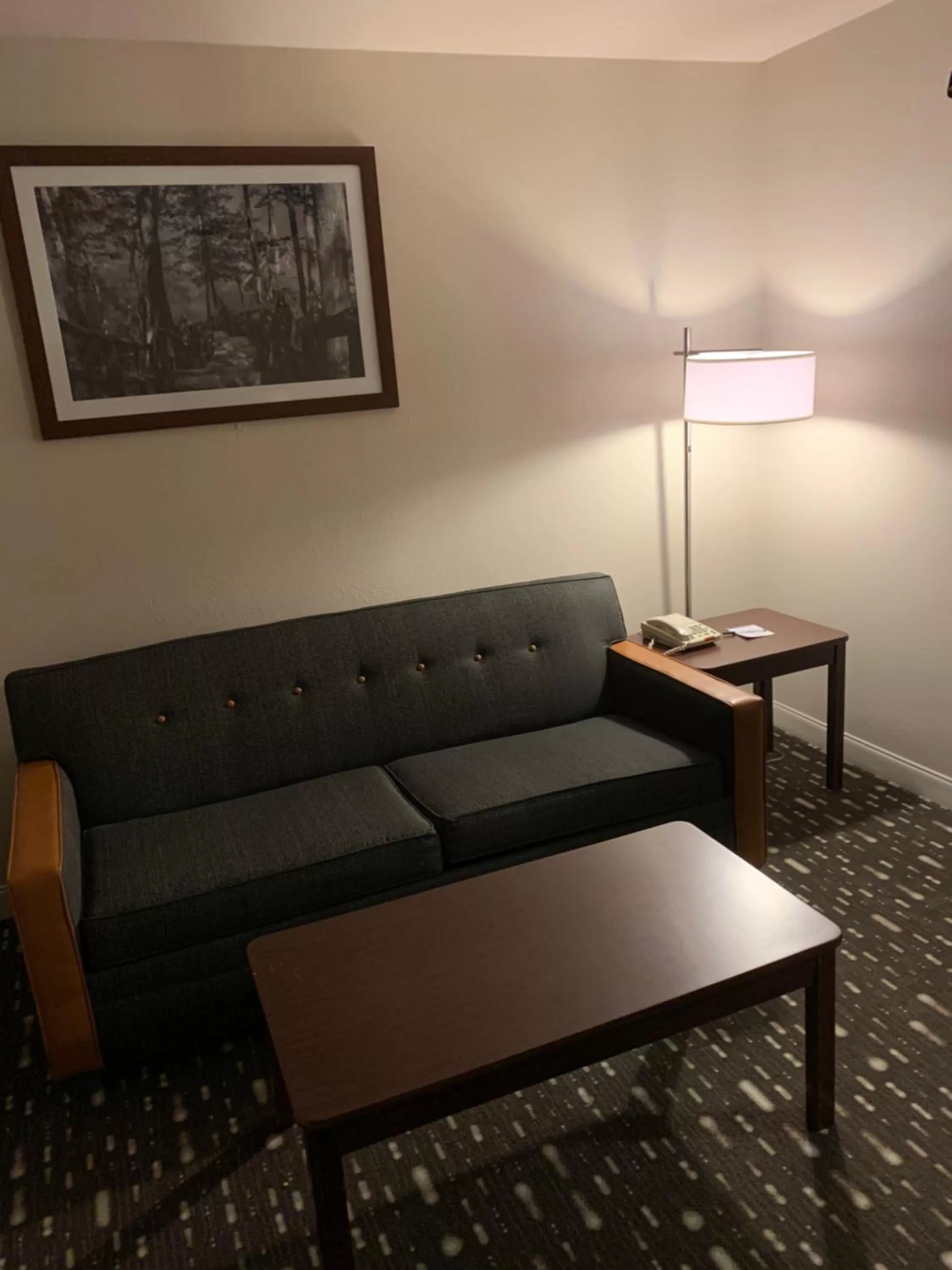 Seating area in Wingate by Wyndham Brighton