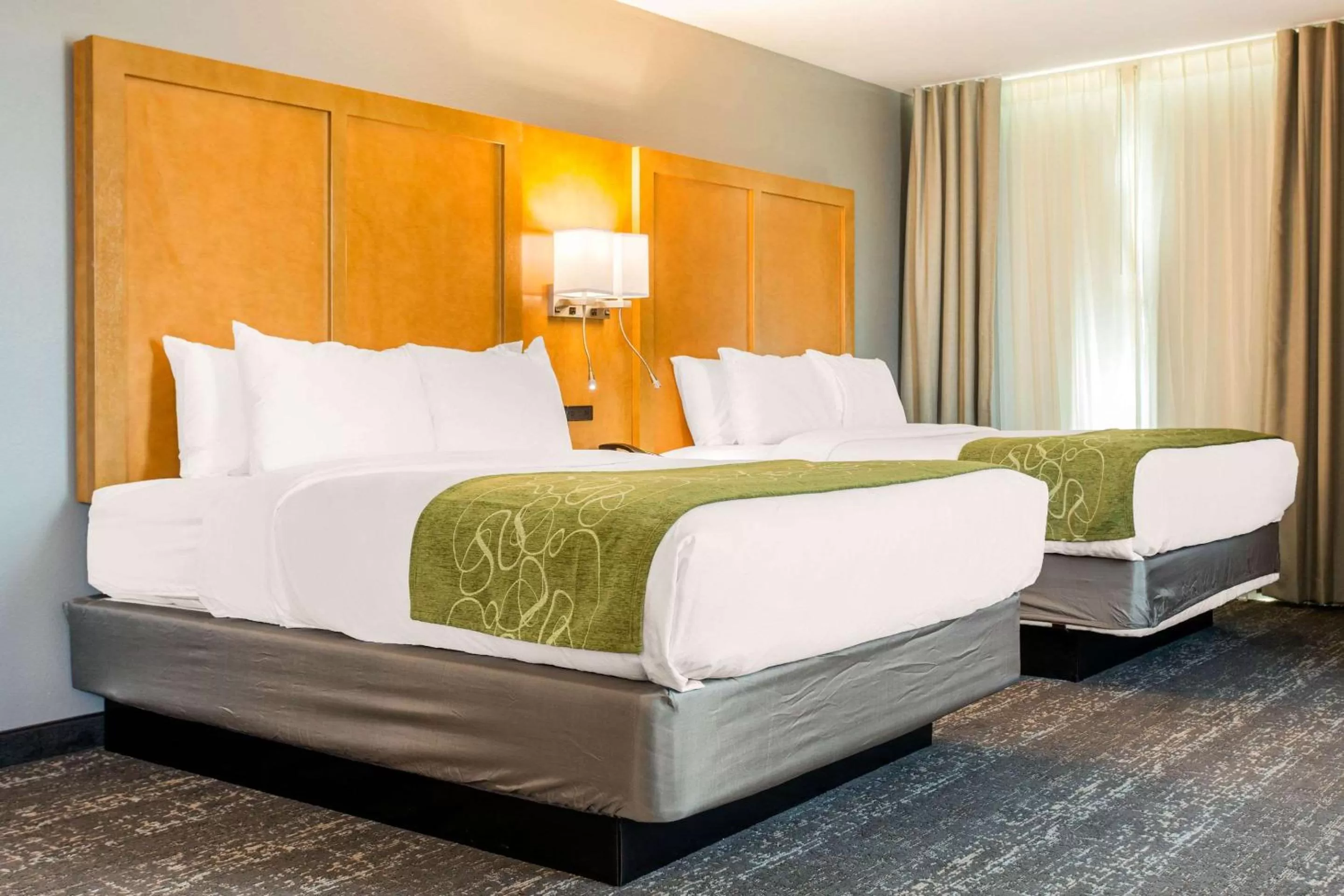 Photo of the whole room, Bed in Comfort Suites North Charleston - Ashley Phosphate