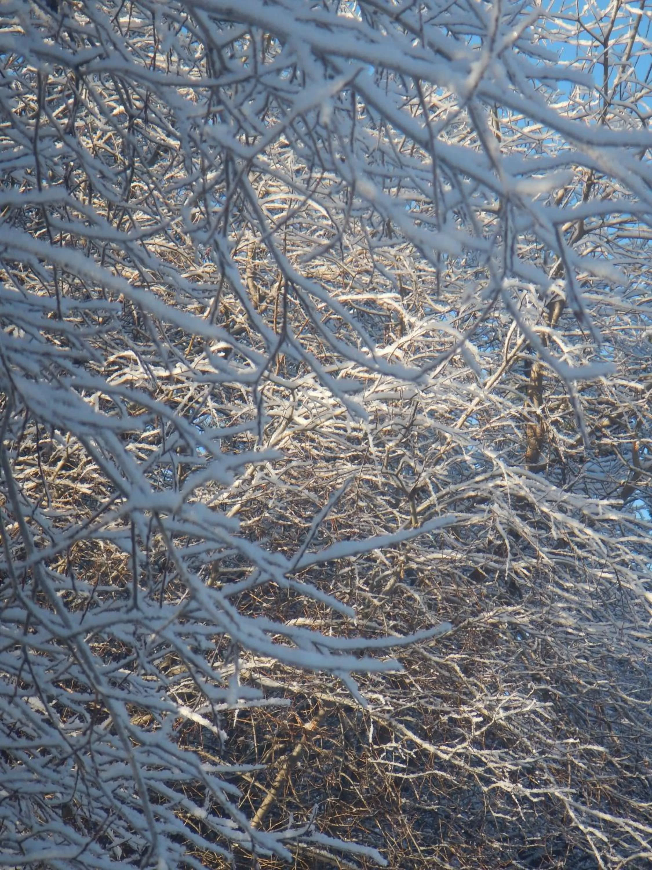 Area and facilities, Winter in Hidden Valley Bed and Breakfast