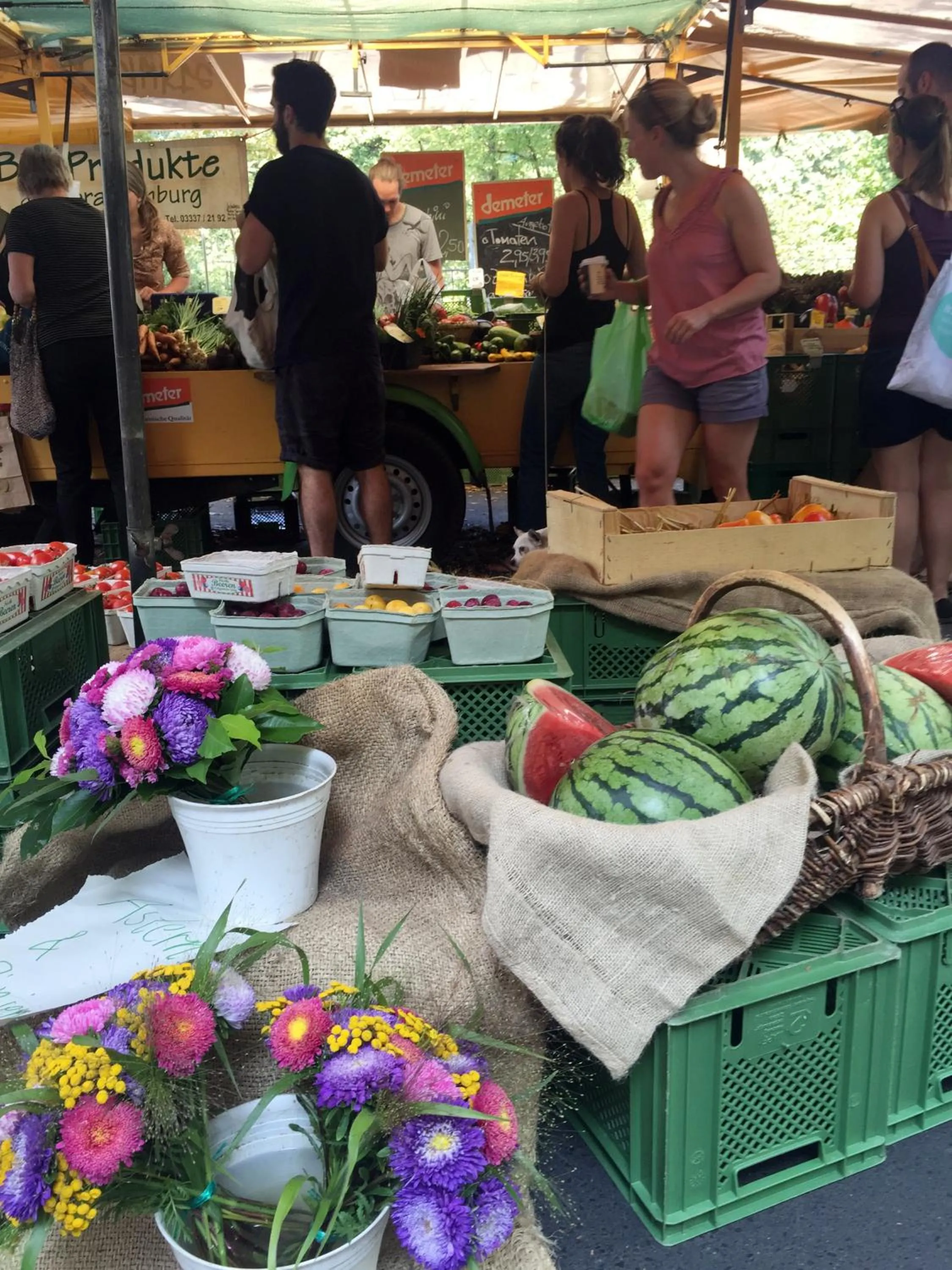 Staff in Pension Absolut Berlin