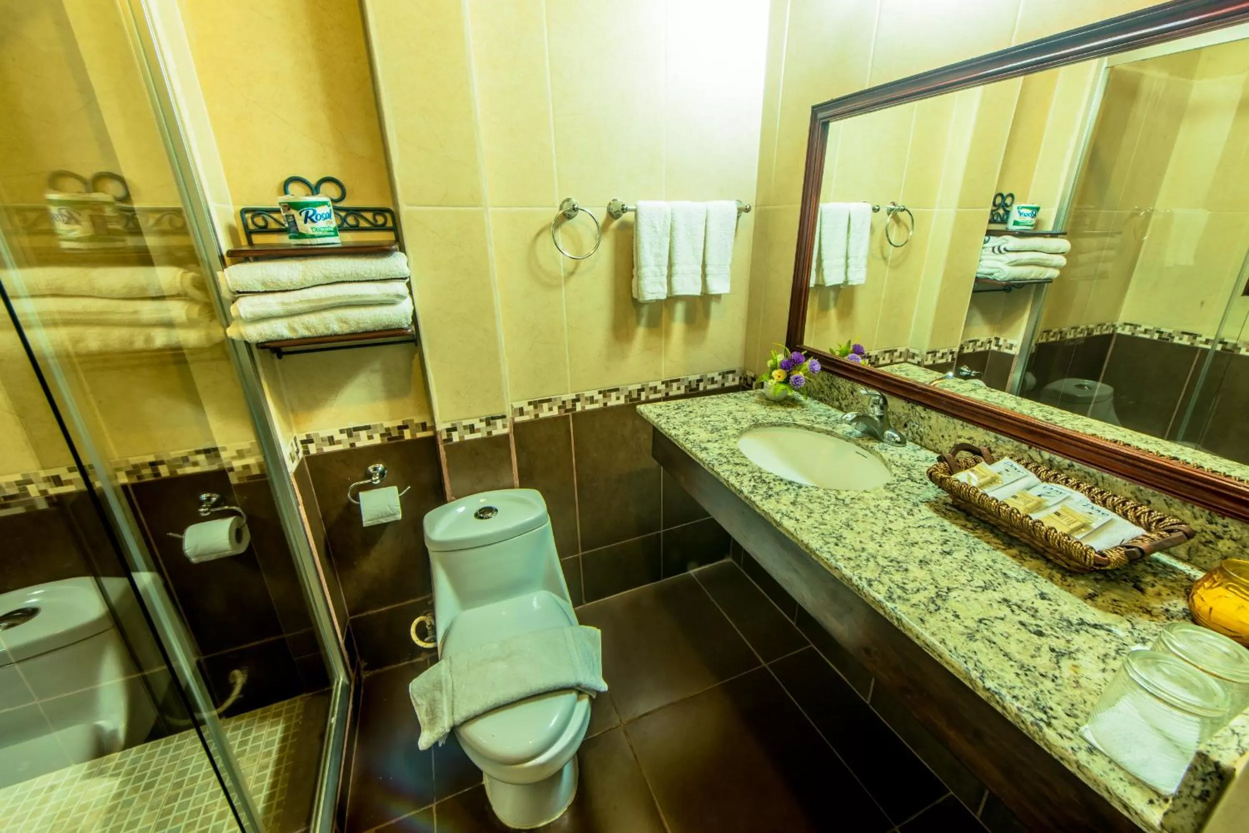 Toilet in Hotel El Maltese