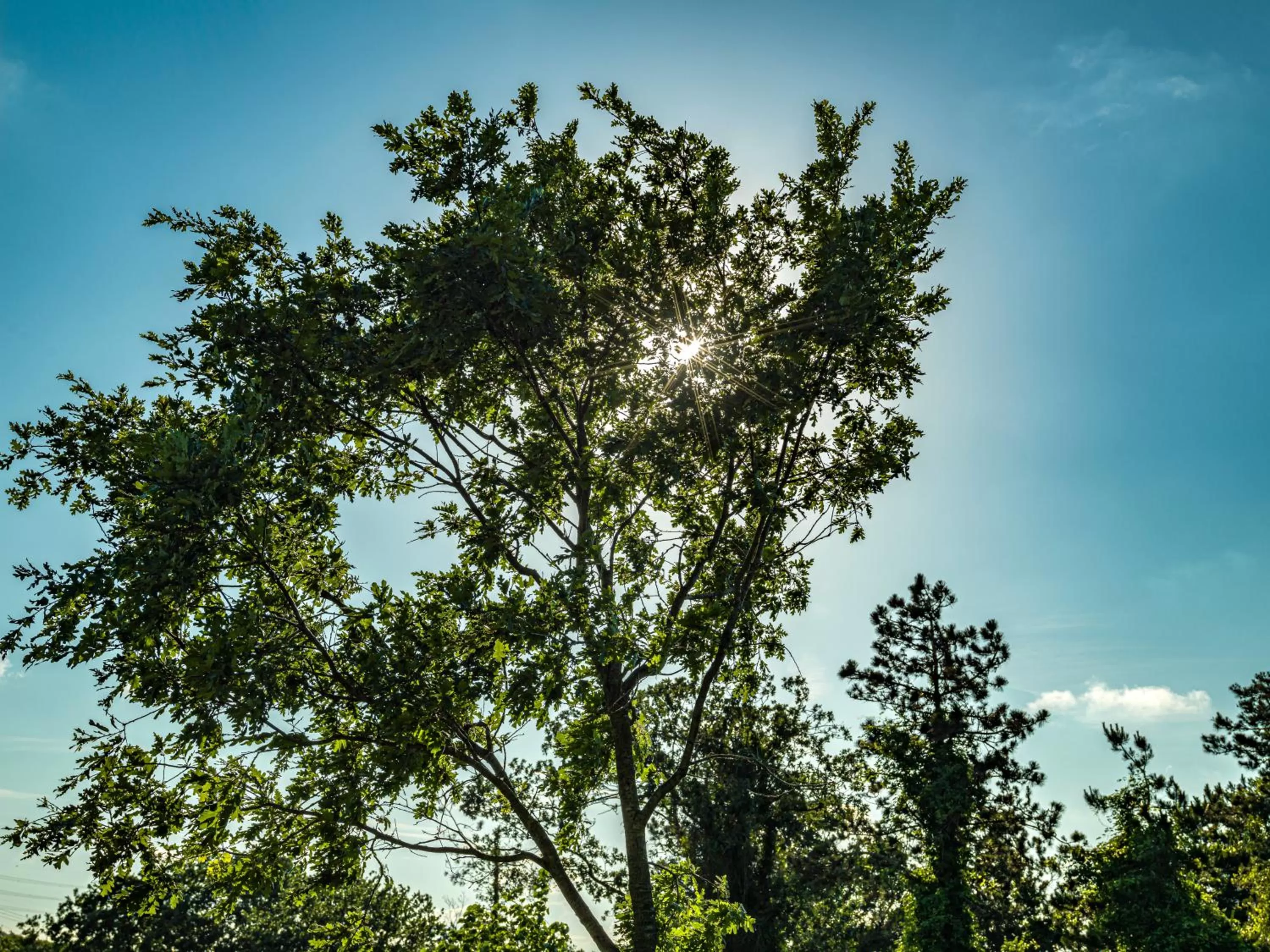 Natural landscape in MENALO HOTEL PREMIUM ISTANBUL AIRPORT