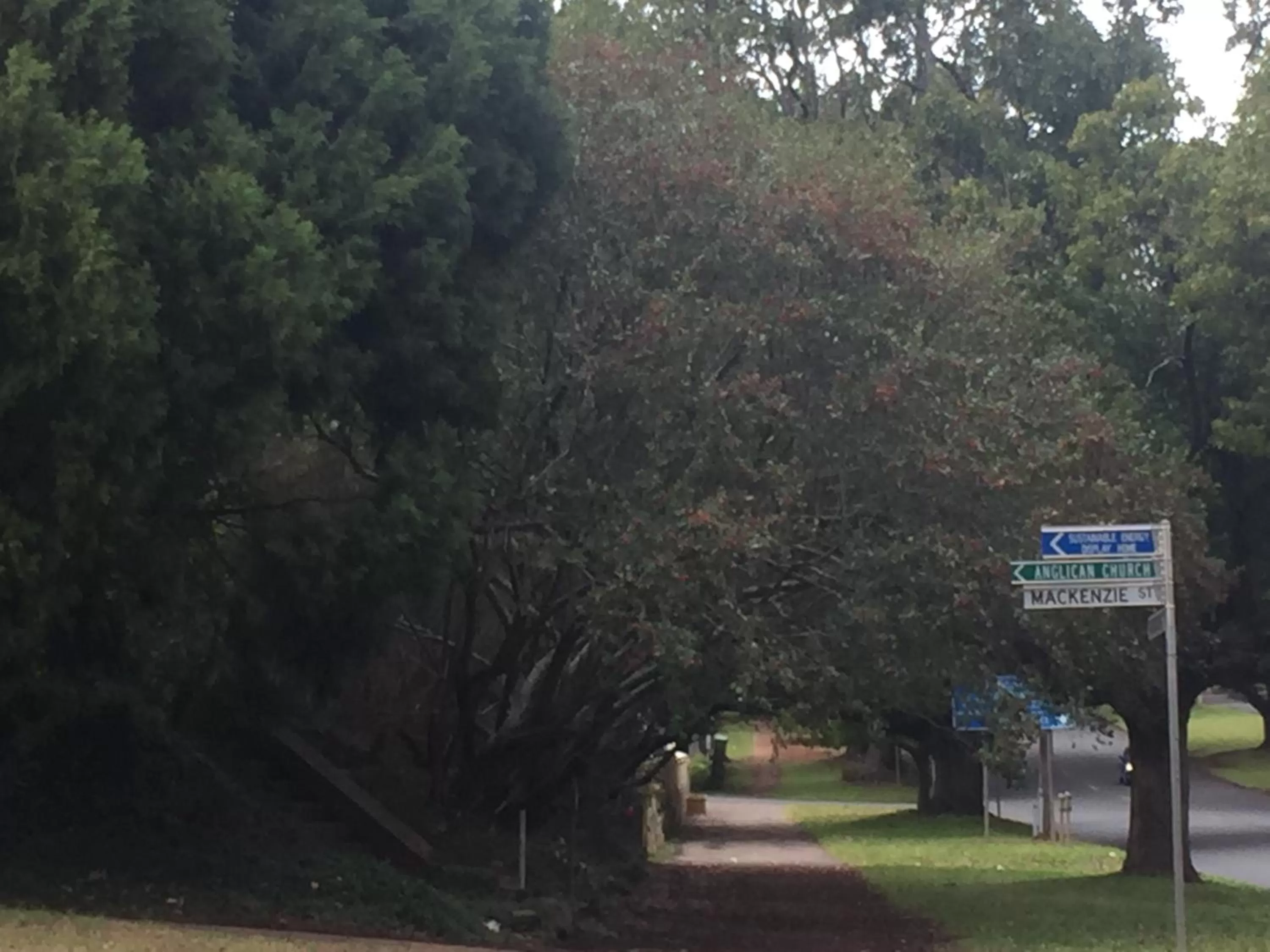 Off site in Blue Violet Motor Inn