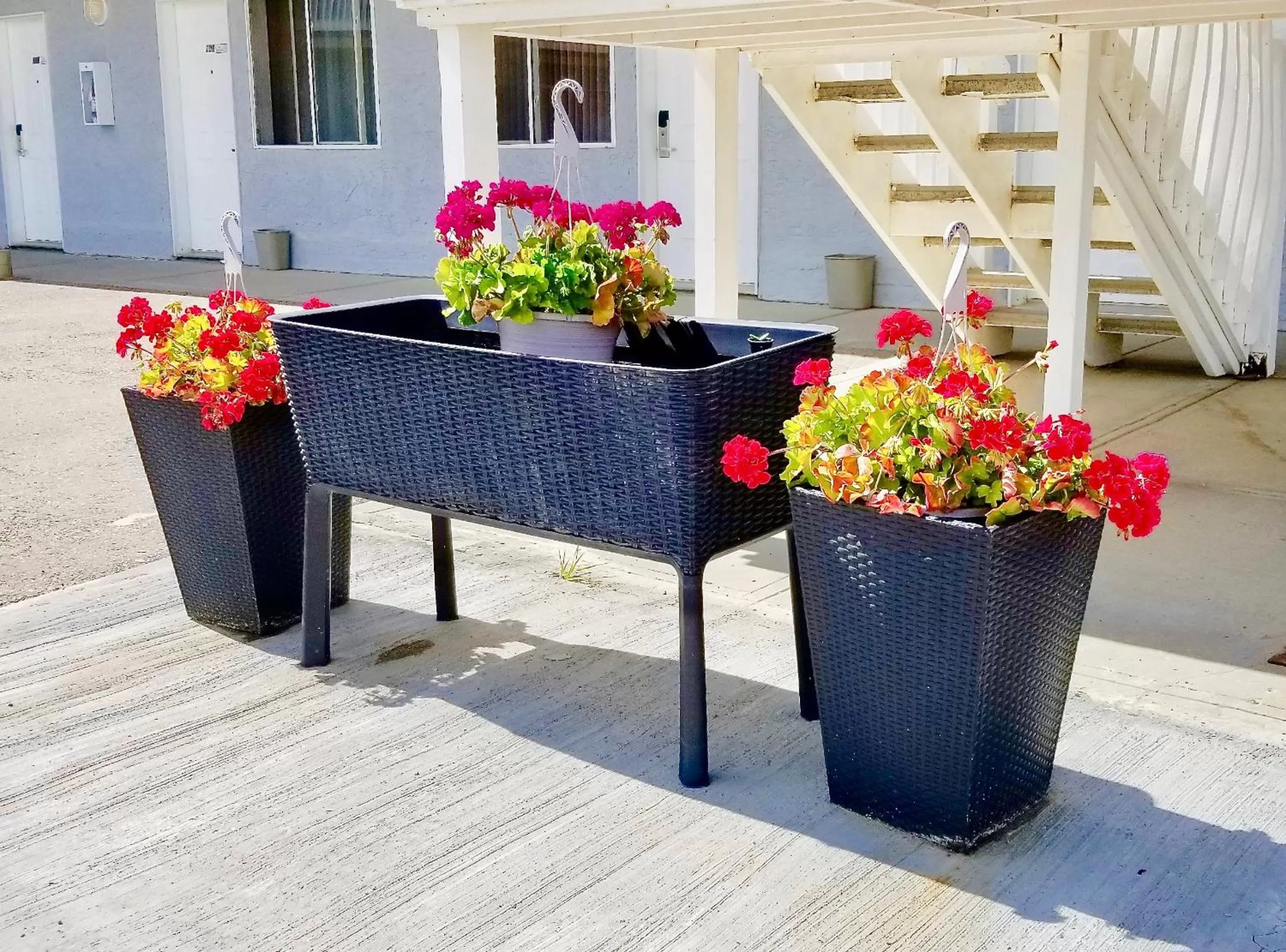 Twilight Country Motel