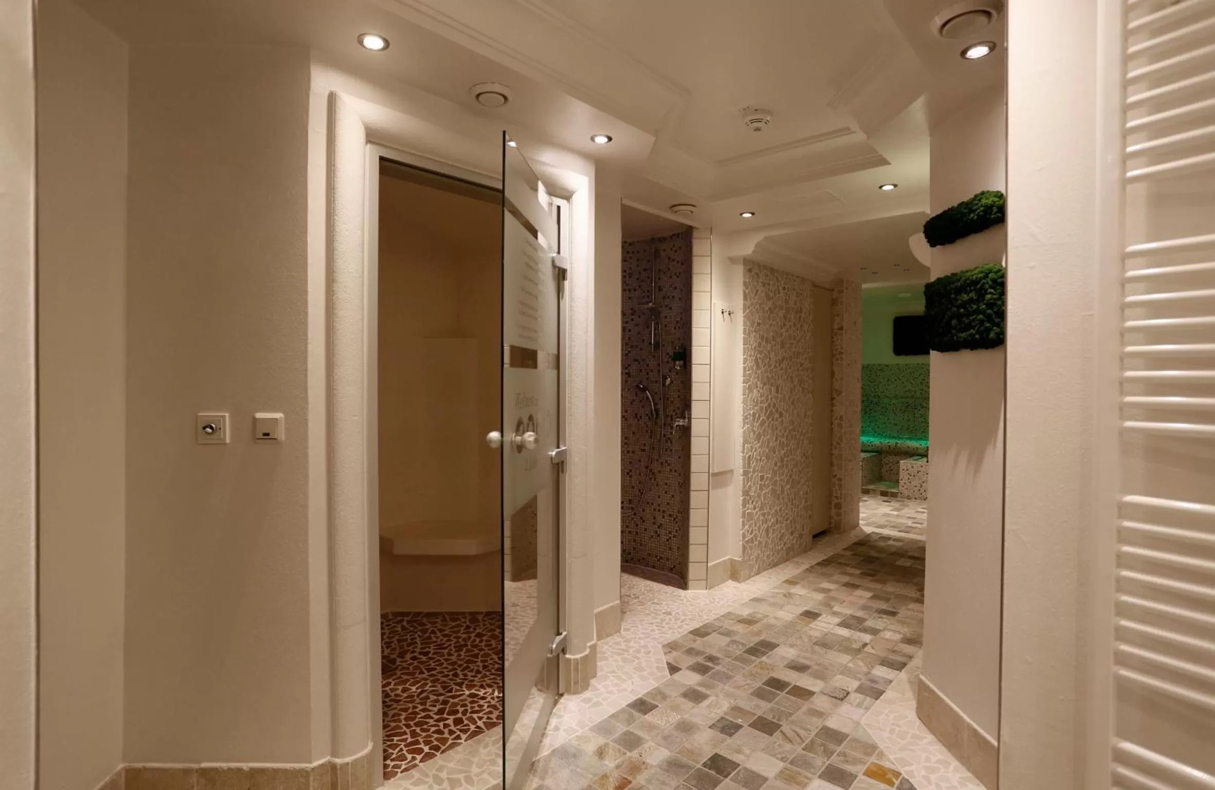 Spa and wellness centre/facilities in Villa Silva - Oberhof