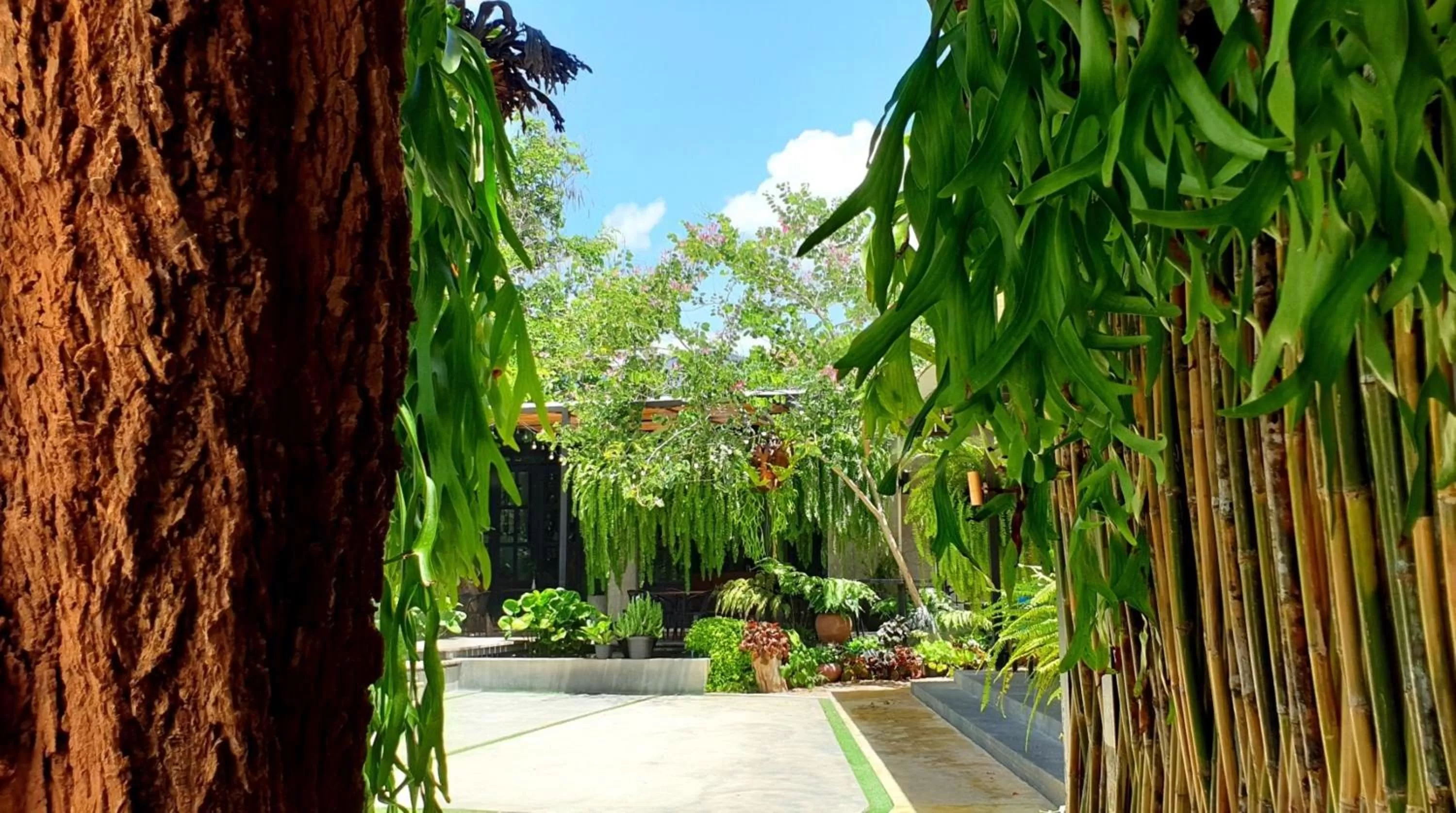 Property building in Amara Resort Hua Hin