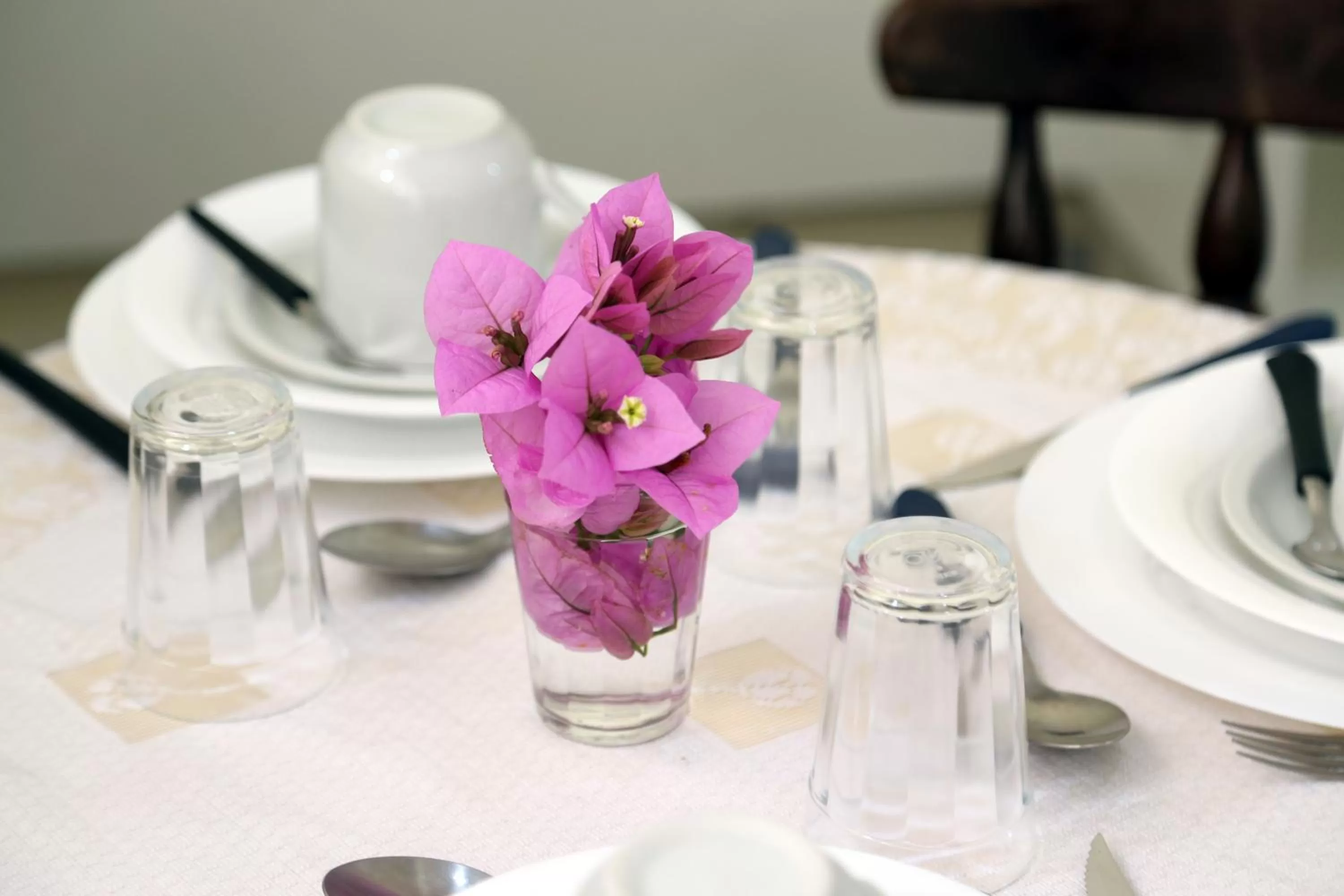 Pousada Lanai Canela