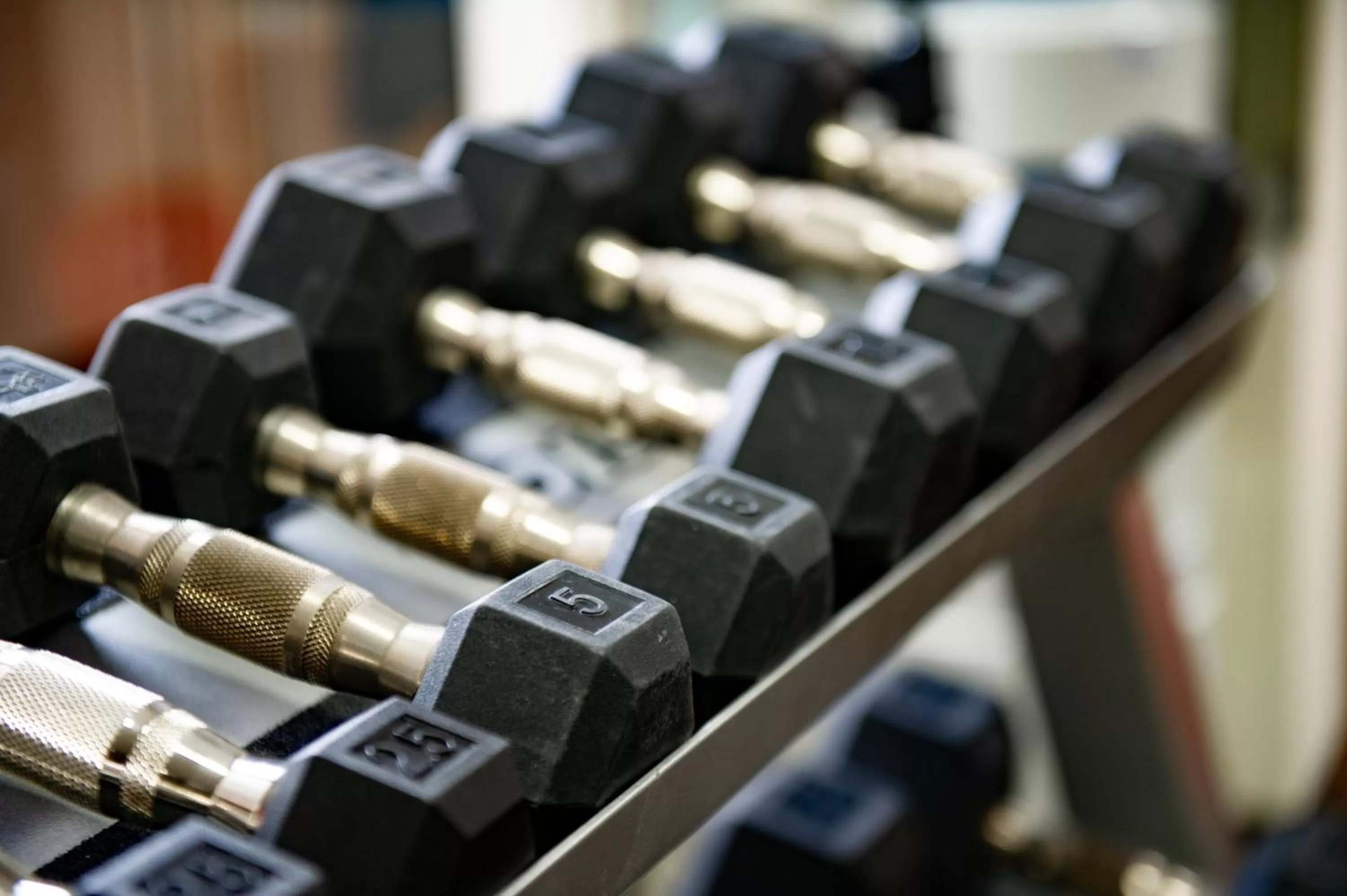 Fitness centre/facilities in Holiday Inn Express & Suites Hayward by IHG