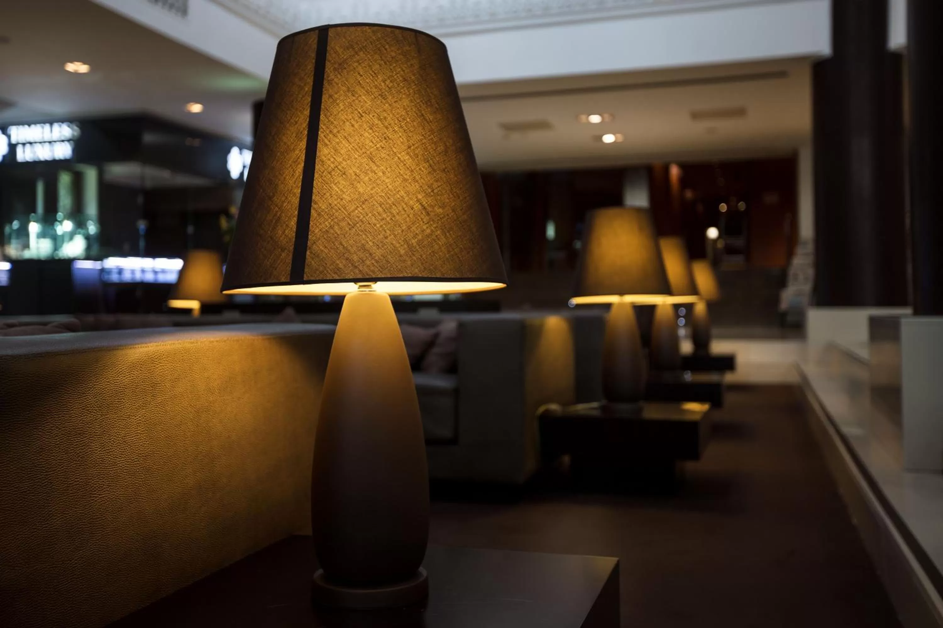 Communal lounge/ TV room in The Dostyk Hotel