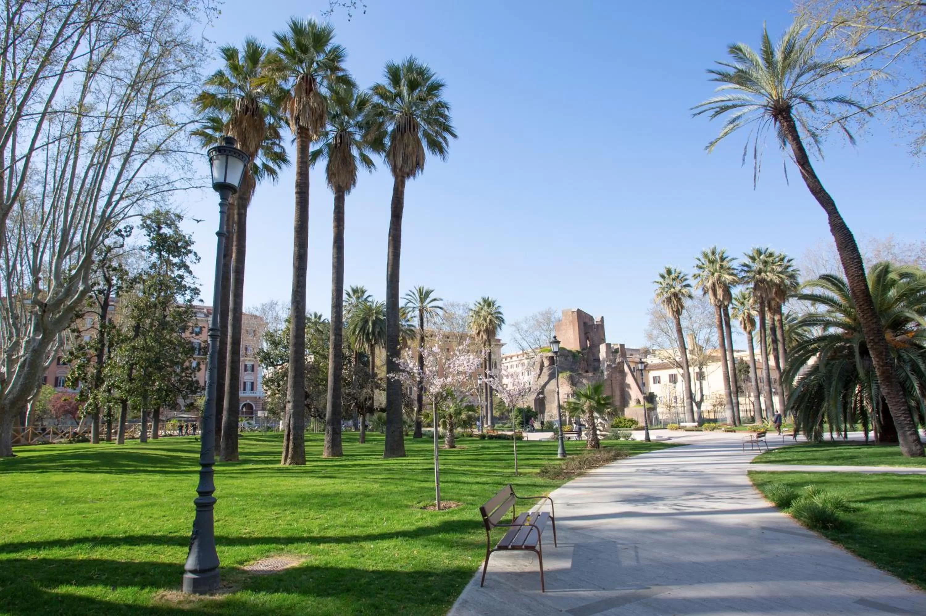 Nearby landmark in Hotel Napoleon