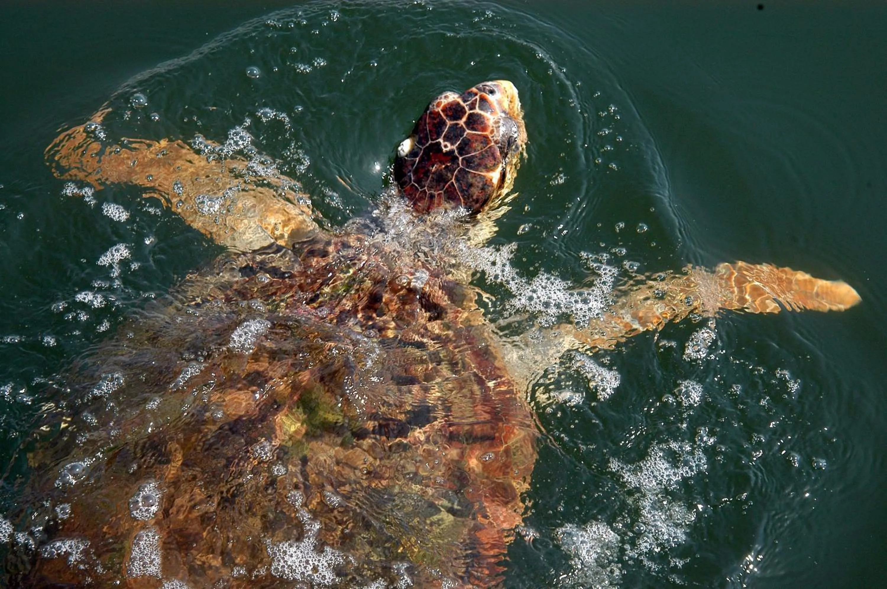 Other in Bc Spa Hotel