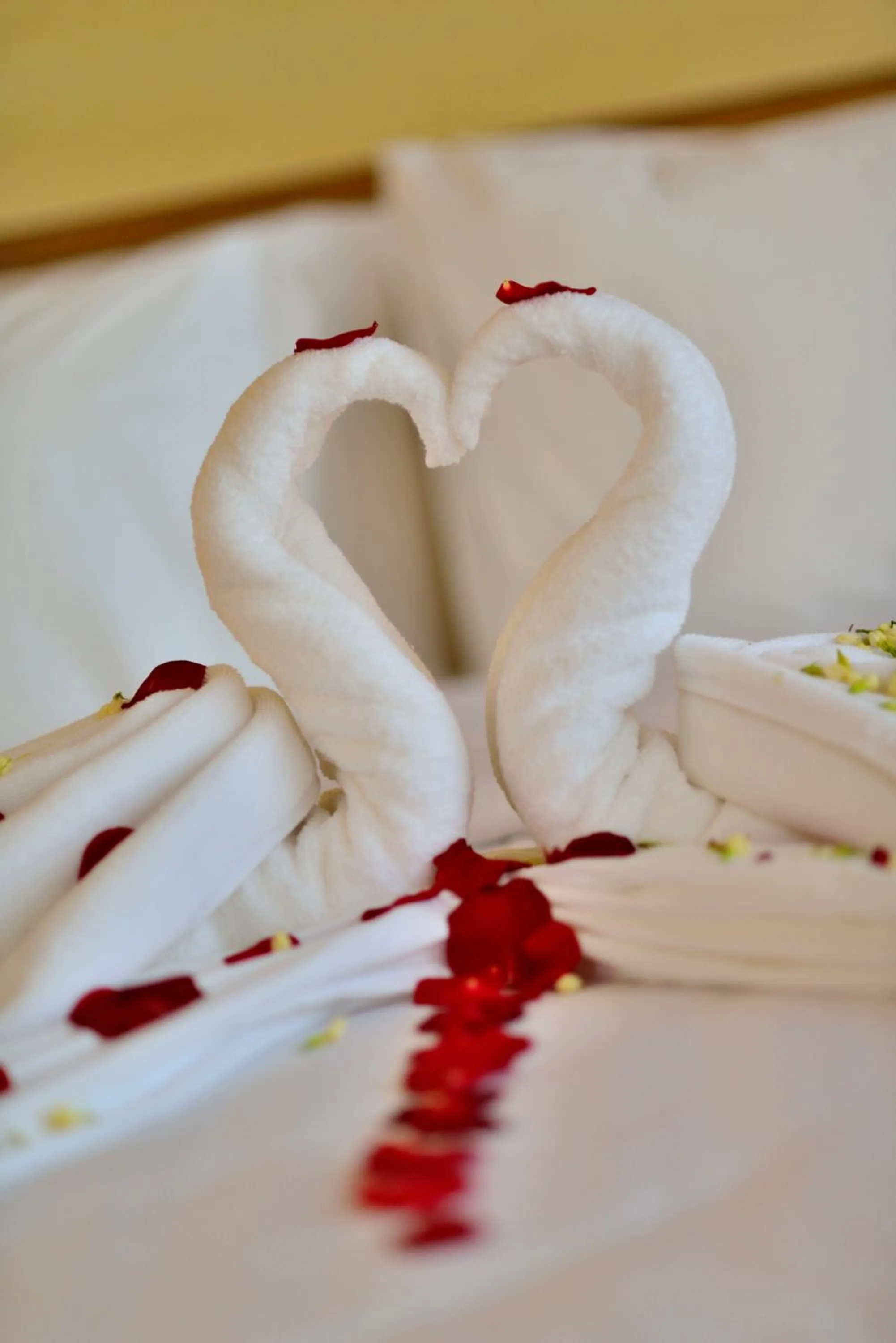 Photo of the whole room in Hotel California Bandung