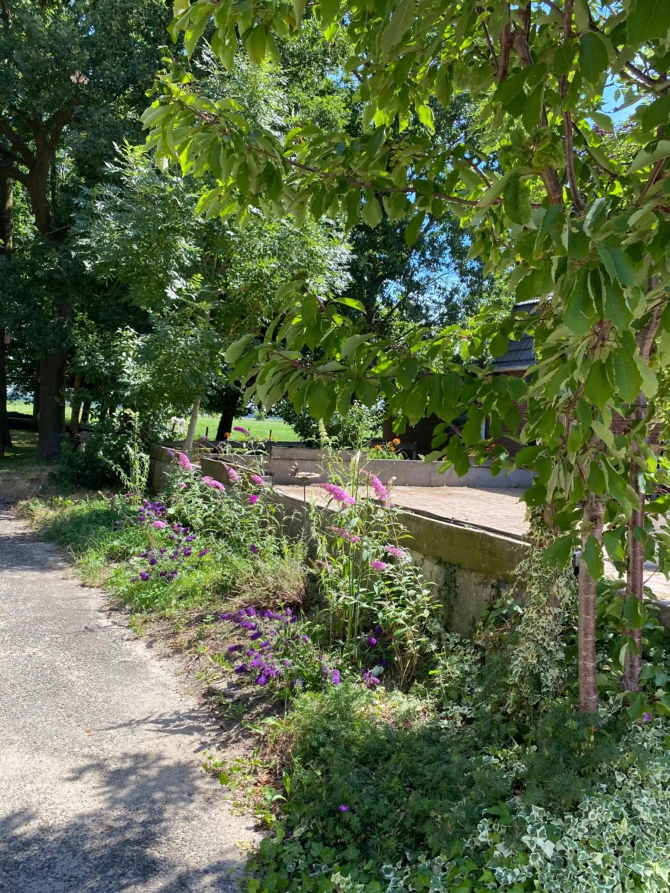 Garden view, Garden in De Heeren Hoeve Carpe Diem